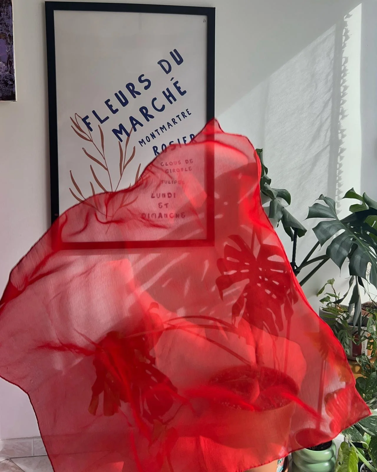 WhatsApp Image 2026-03-13 at 14.19.03.jpeg