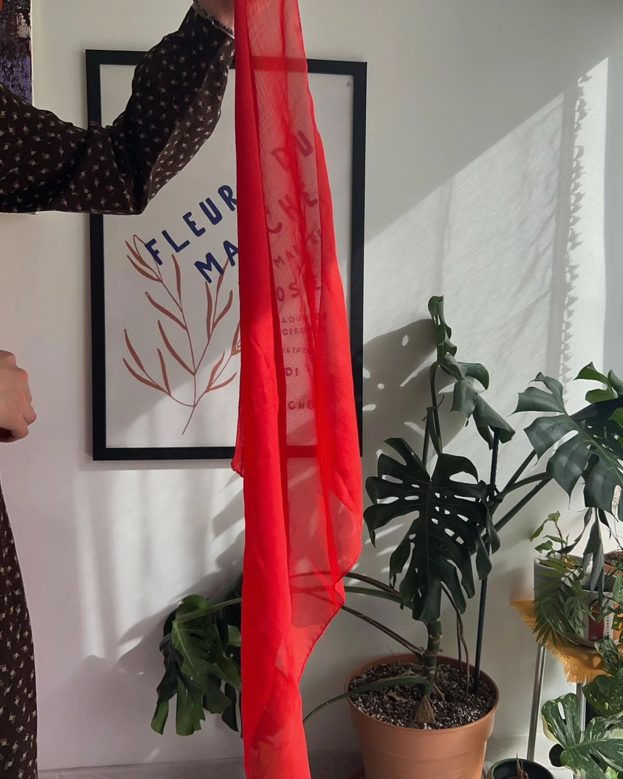 WhatsApp Image 2026-03-13 at 14.18.04.jpeg