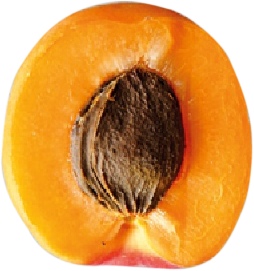 Une pêche coupée en deux, montrant le noyau brun au centre.