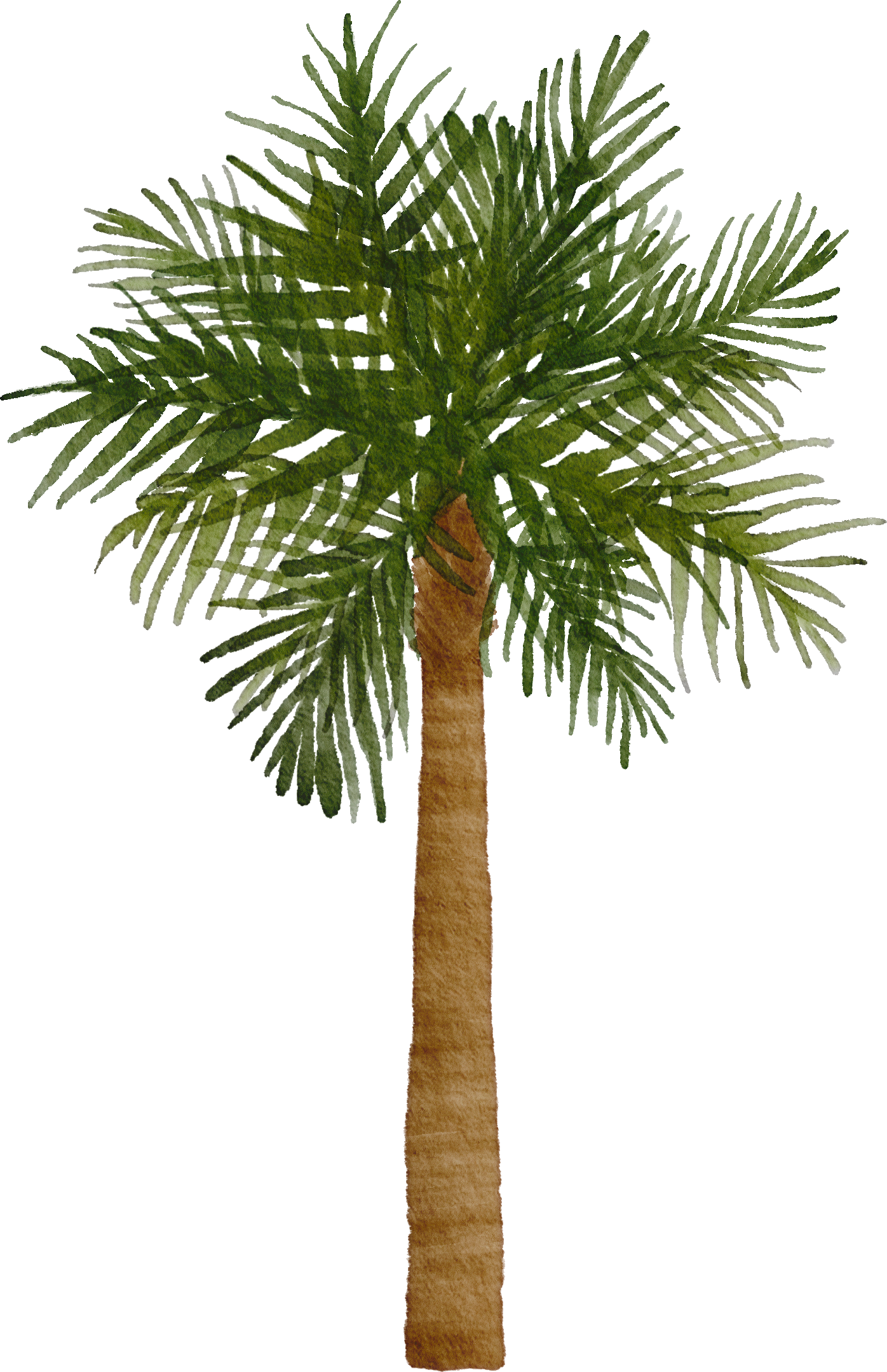 A illustration of a palm tree with green fronds and a brown trunk.