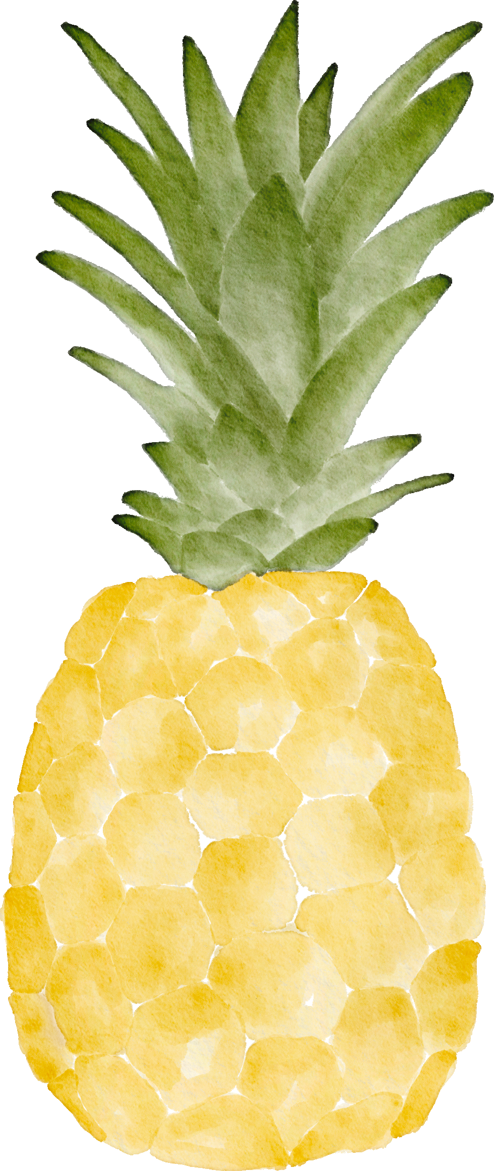 Watercolor illustration of a pineapple with a golden-yellow textured body and green spiky leafy crown.