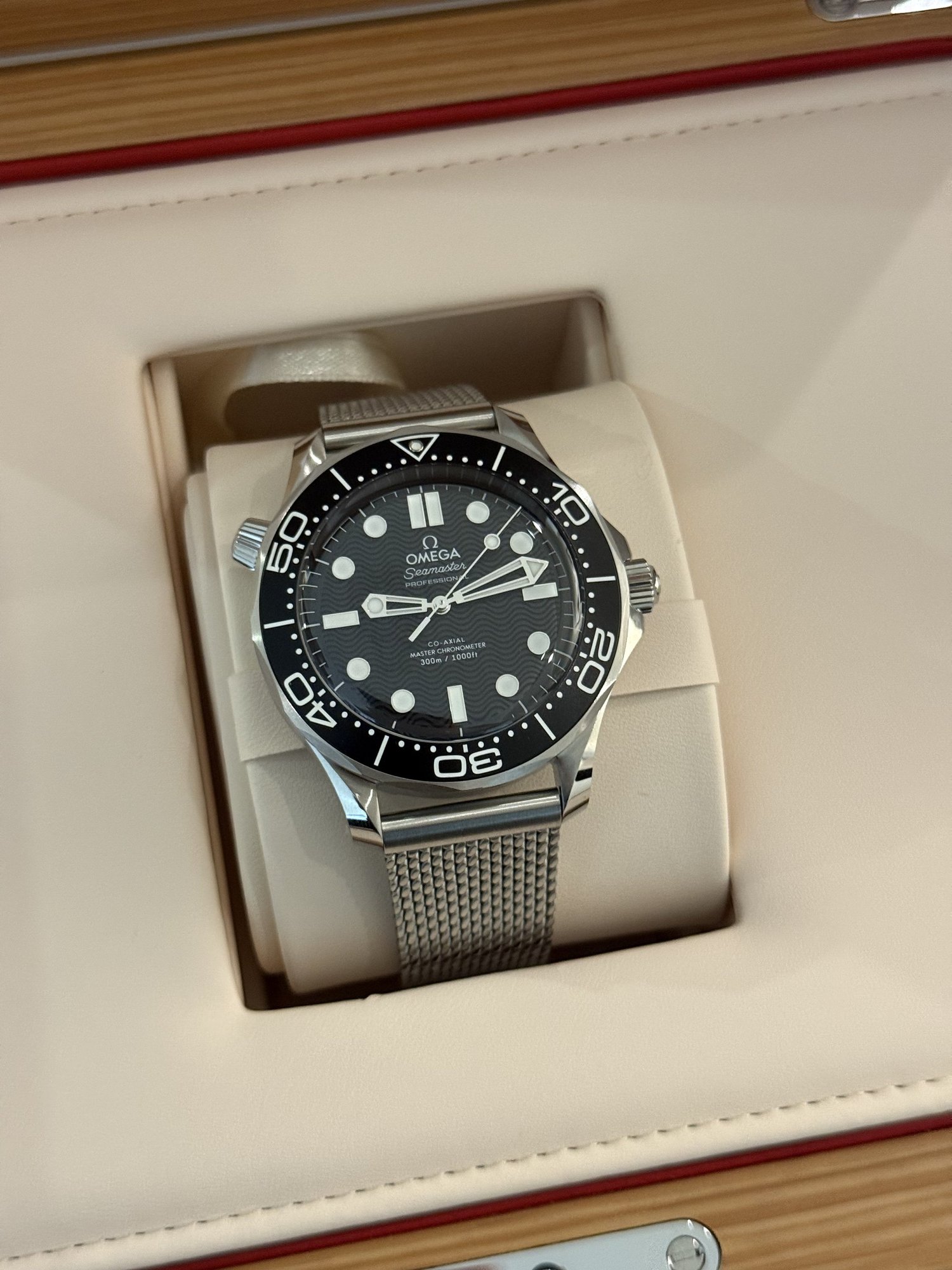 Omega Seamaster Diver 300M reference 210.30.42.20.01.010