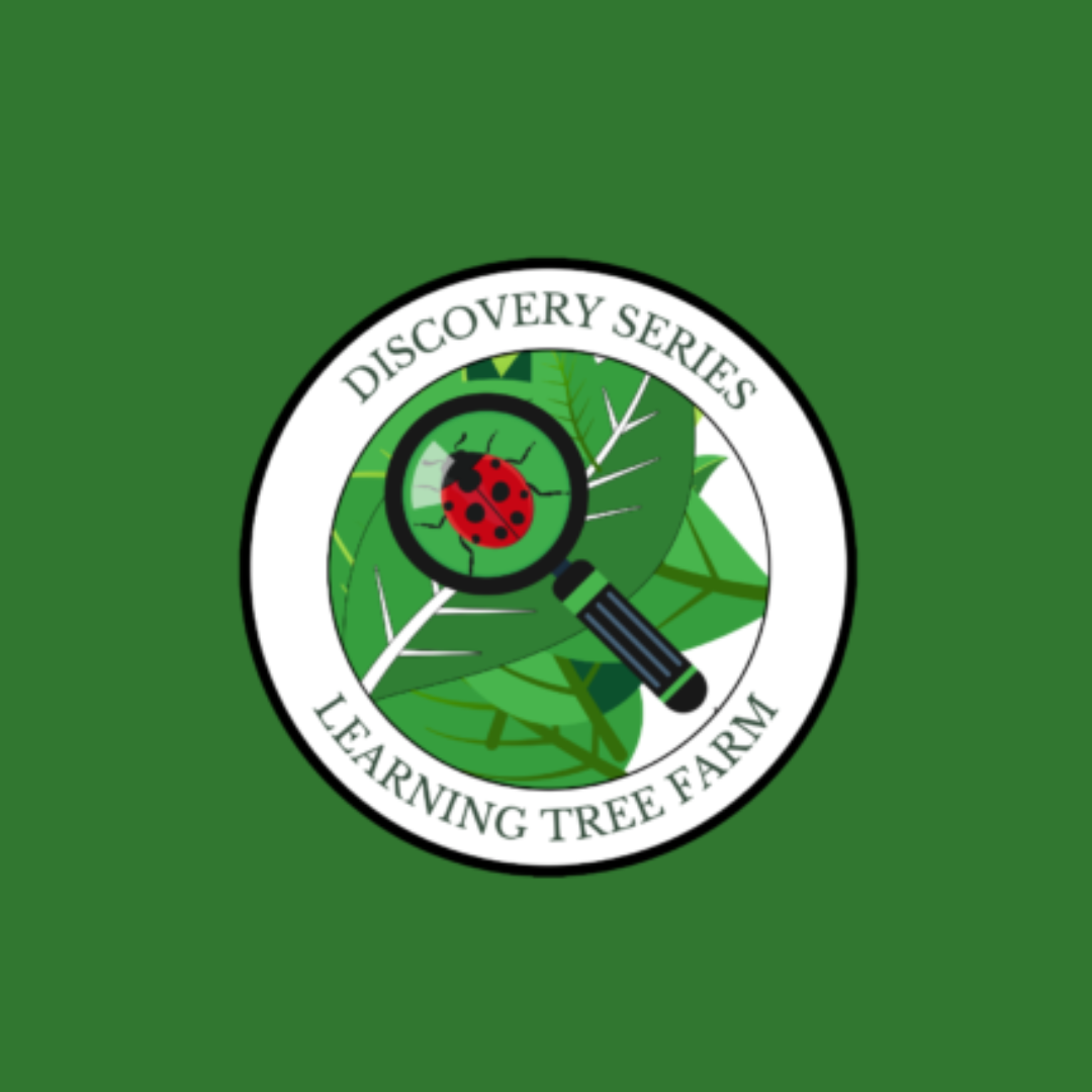 2 (1).png