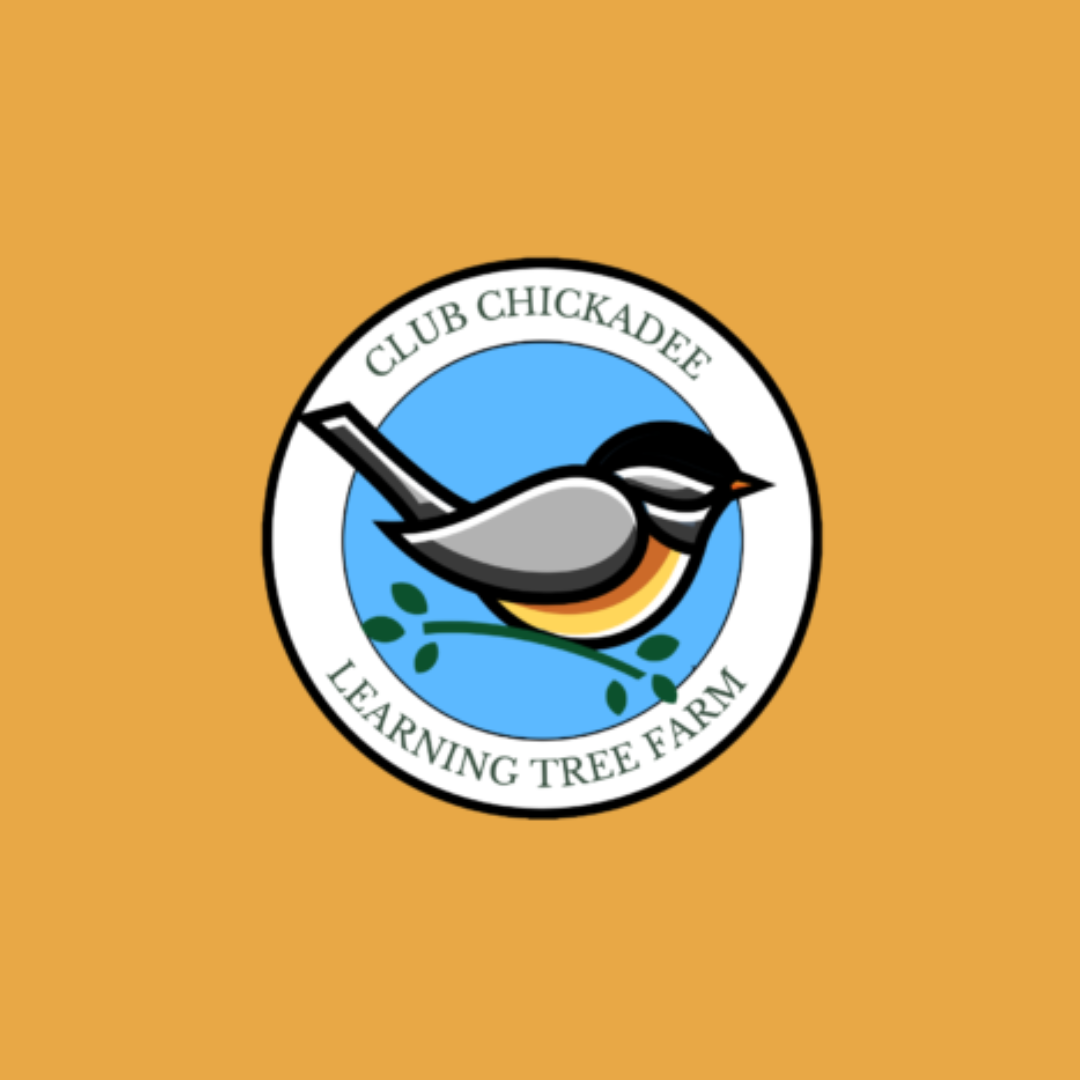 1 (1).png