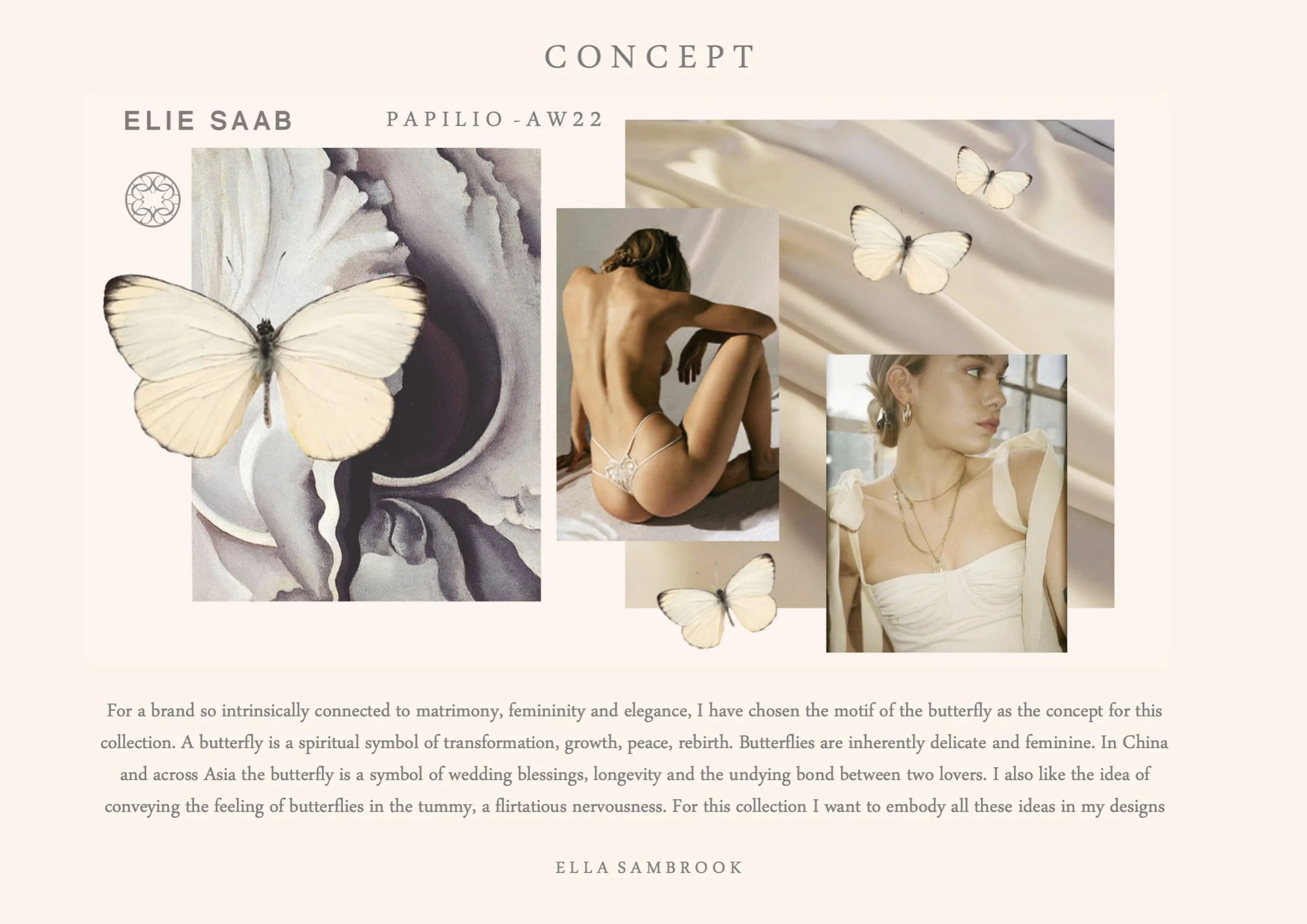 Papilio Concept Board 