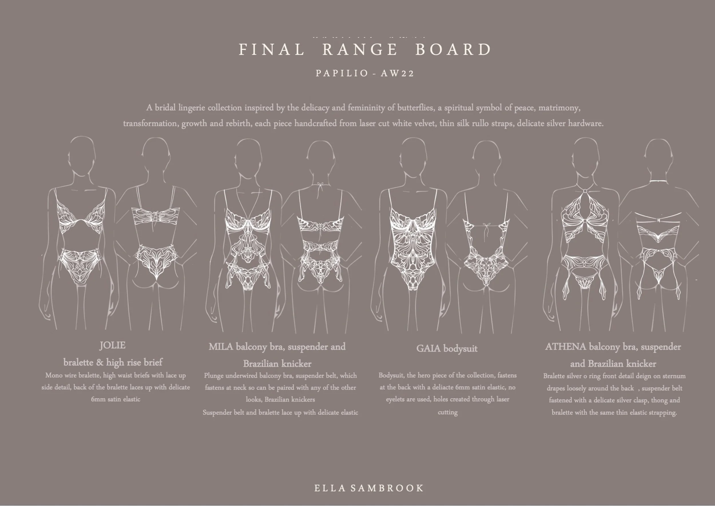 Papilio Illustrations