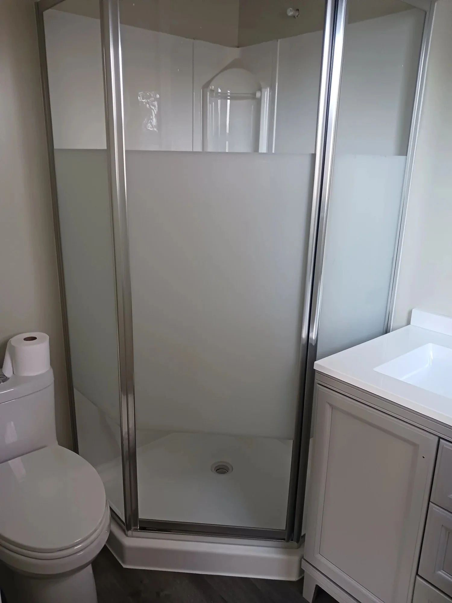 Bathroom with a glass shower enclosure, a toilet with a roll of toilet paper on top, and a white vanity with a sink.