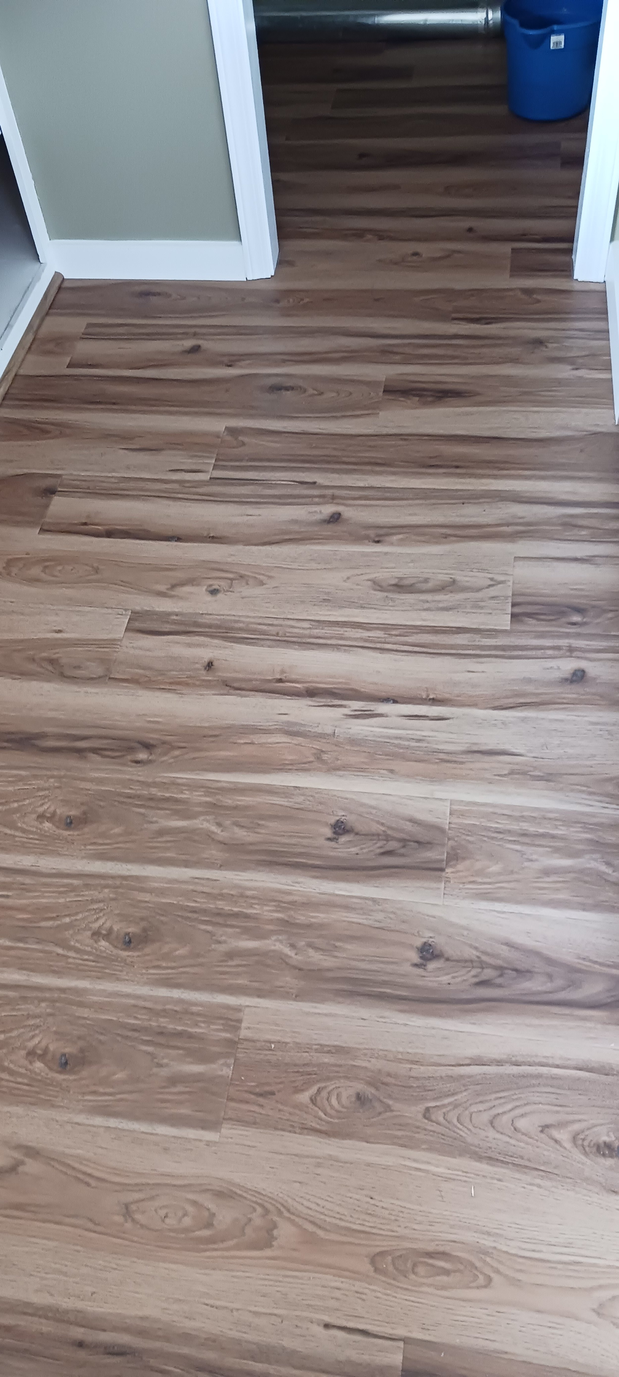 Wooden laminate flooring in a hallway with a doorway leading to a room with a blue trash bin in the corner.