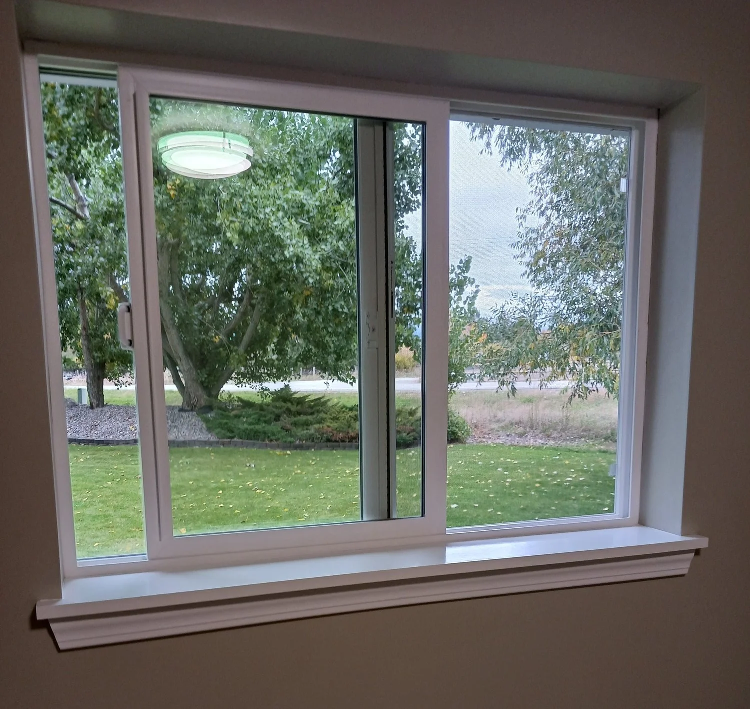 View through a large window showing a green lawn, trees, and a road outside, with a ceiling light reflected in the glass.