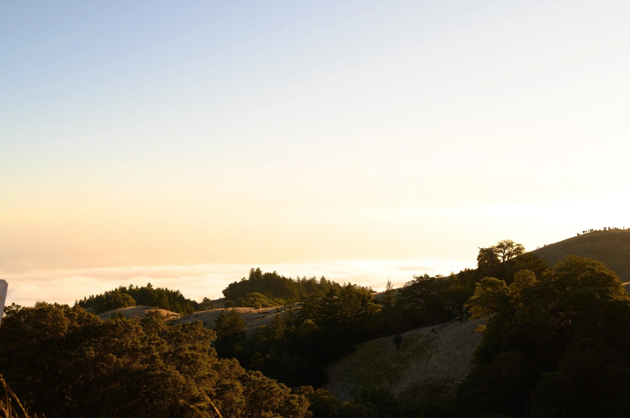 Evening light over the wooded hills of Marin County