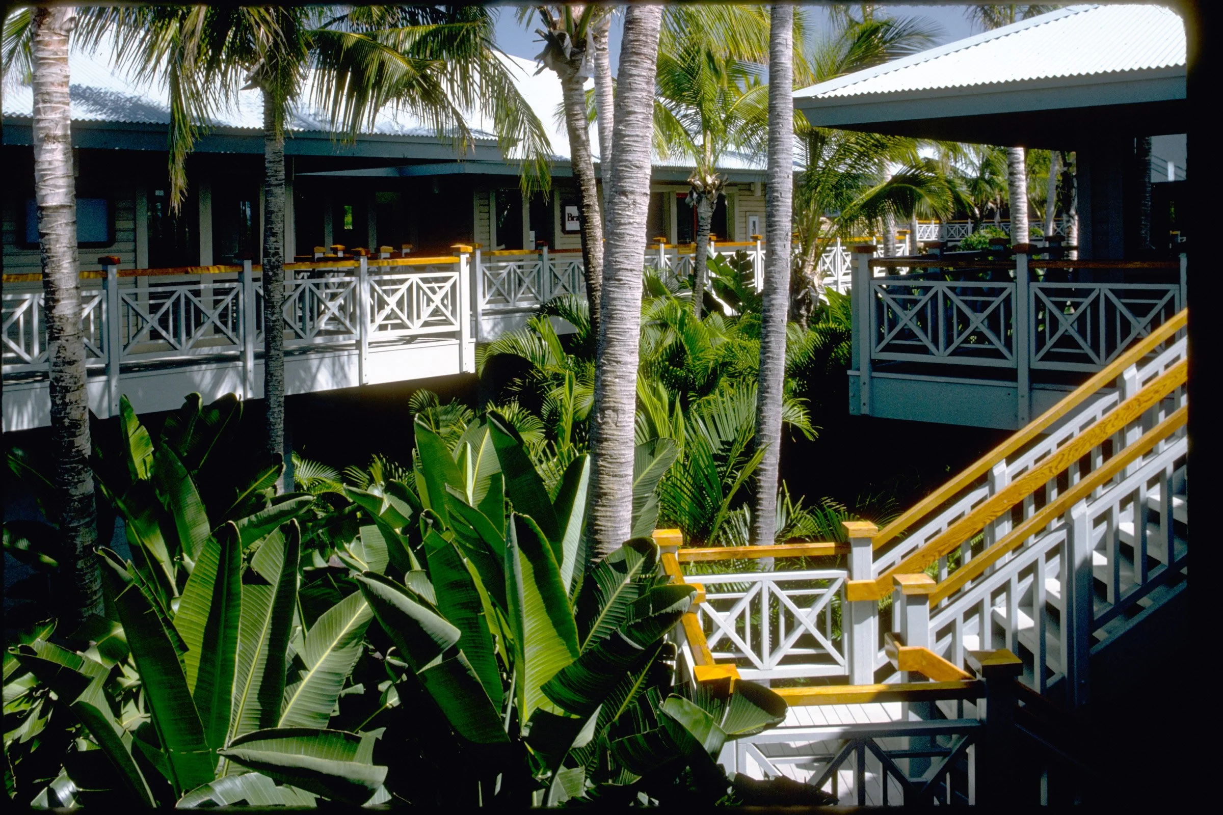 Balcony with white railings and yellow accents, overlooking tropical plants and palm trees, part of a tropical resort or hotel.