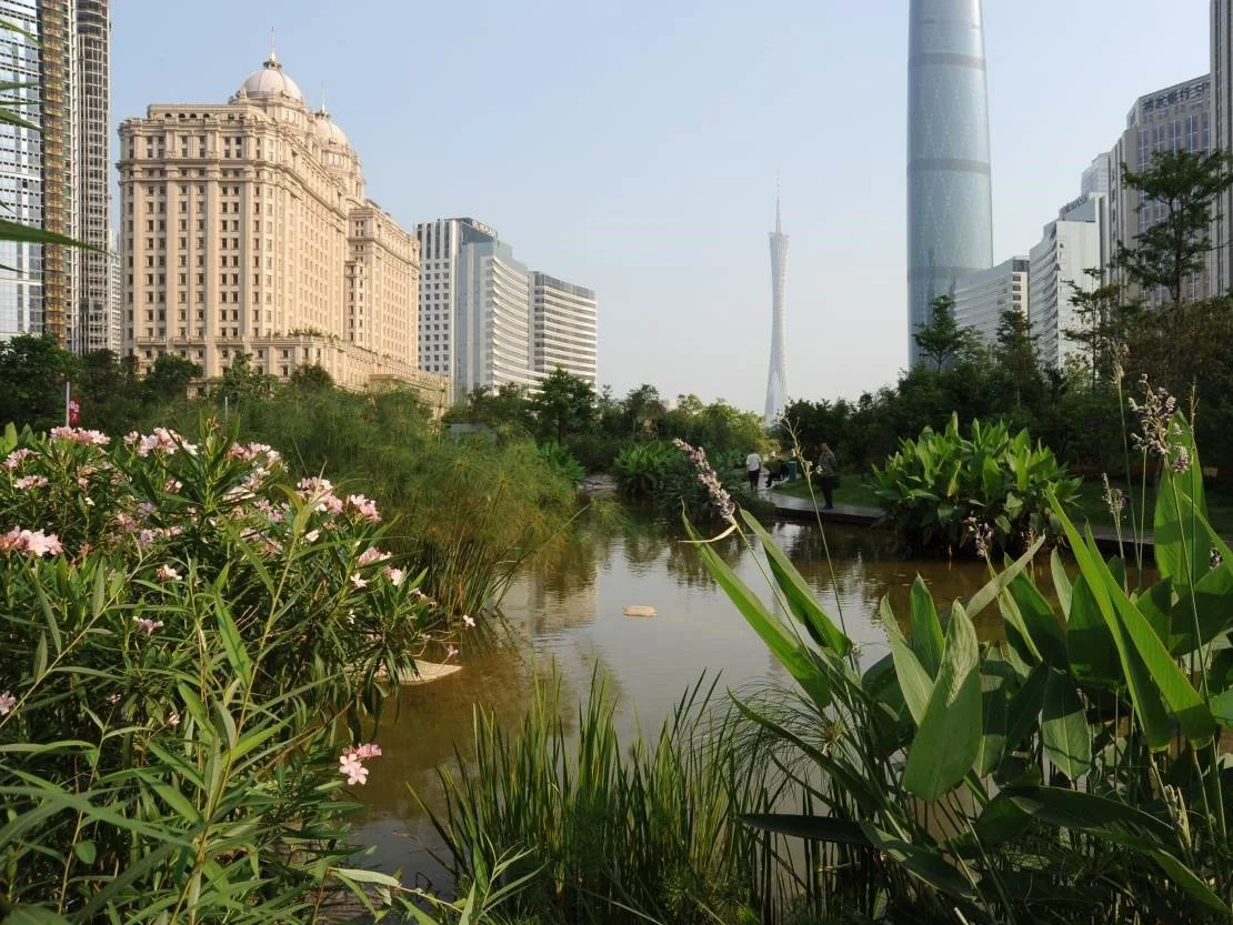 Urban park with a small pond or stream, surrounded by lush green vegetation and flowers, with tall city buildings in the background, including a distinct tower and an iconic skyscraper.