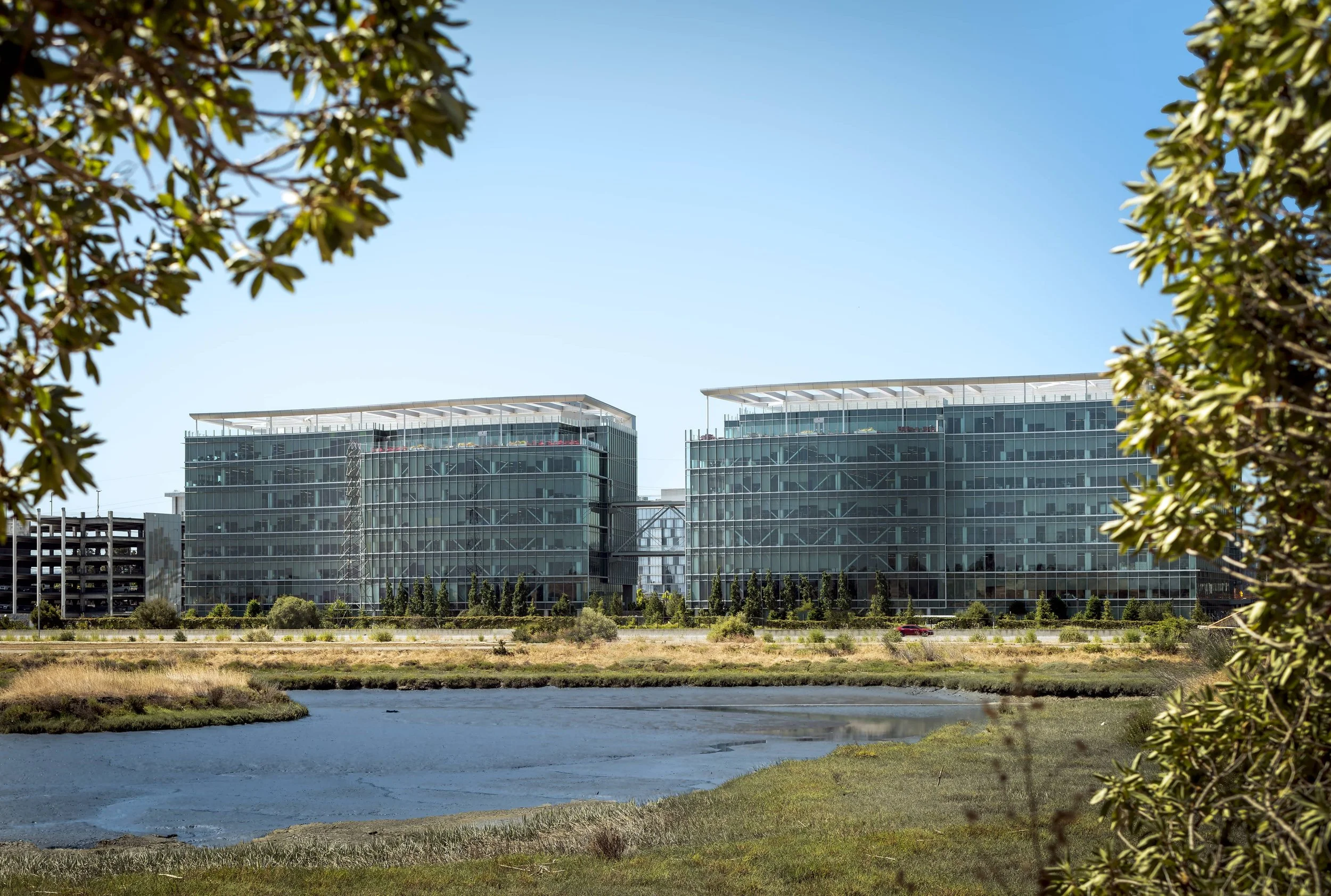 A peaceful landscape with a small pond in the foreground, surrounded by grass and bushes, with two modern glass office buildings in the background under a clear blue sky.