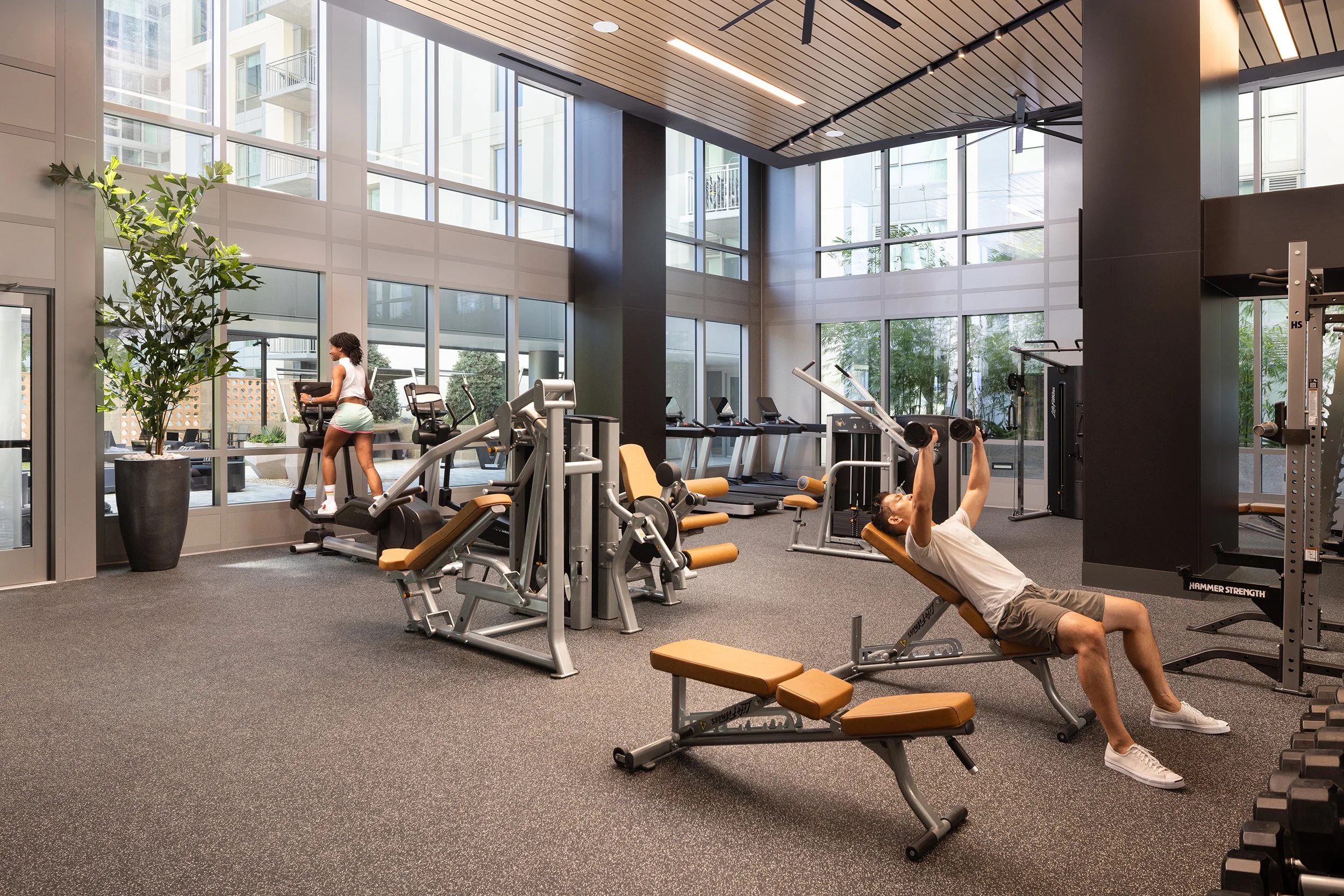 Modern gym with large windows, two people working out; a man on a bench press, a woman on an elliptical machine, various workout equipment including dumbbells and cardio machines.