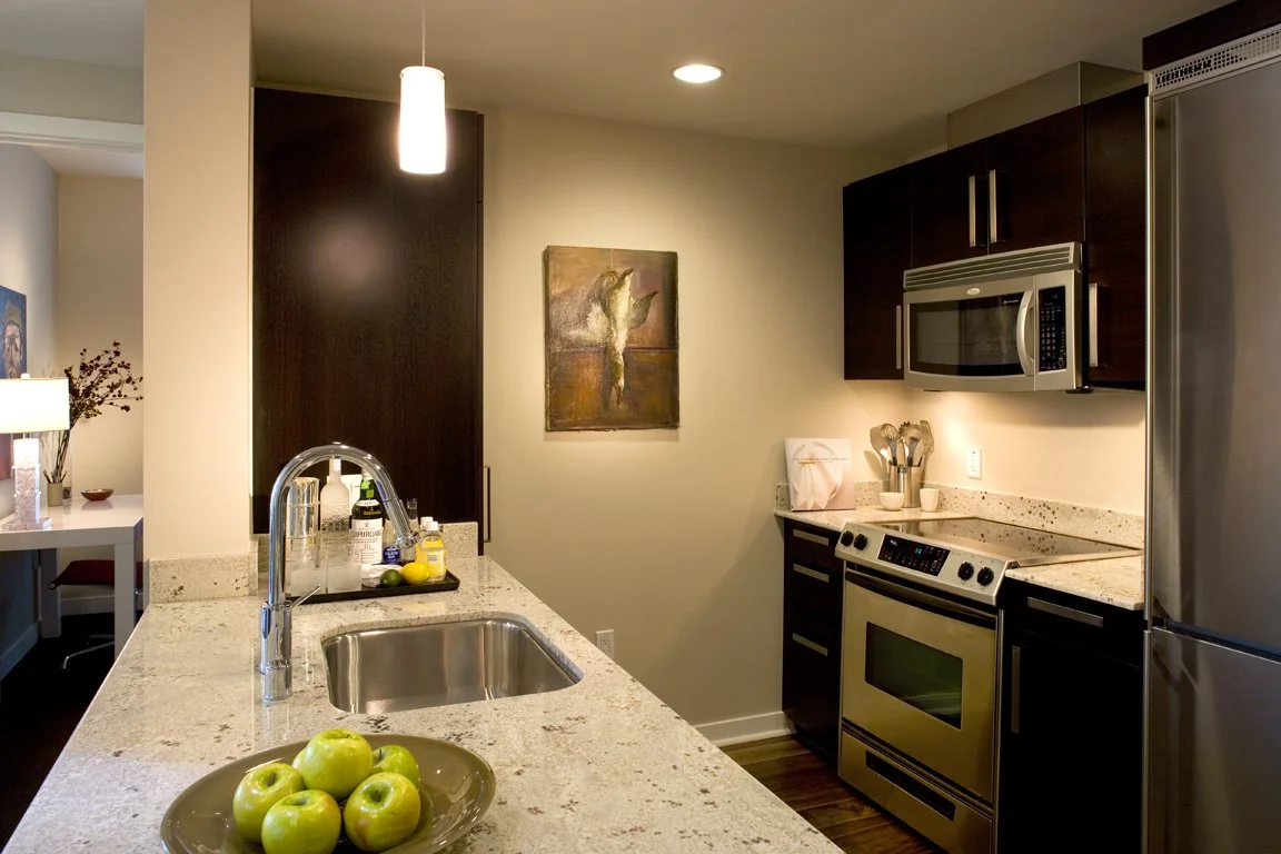 Modern kitchen with granite countertop, stainless steel sink, dark wood cabinets, stainless steel appliances including refrigerator, microwave, and oven. Decor includes a bowl of green apples on the counter, utensils, and a wall art piece with a dog.