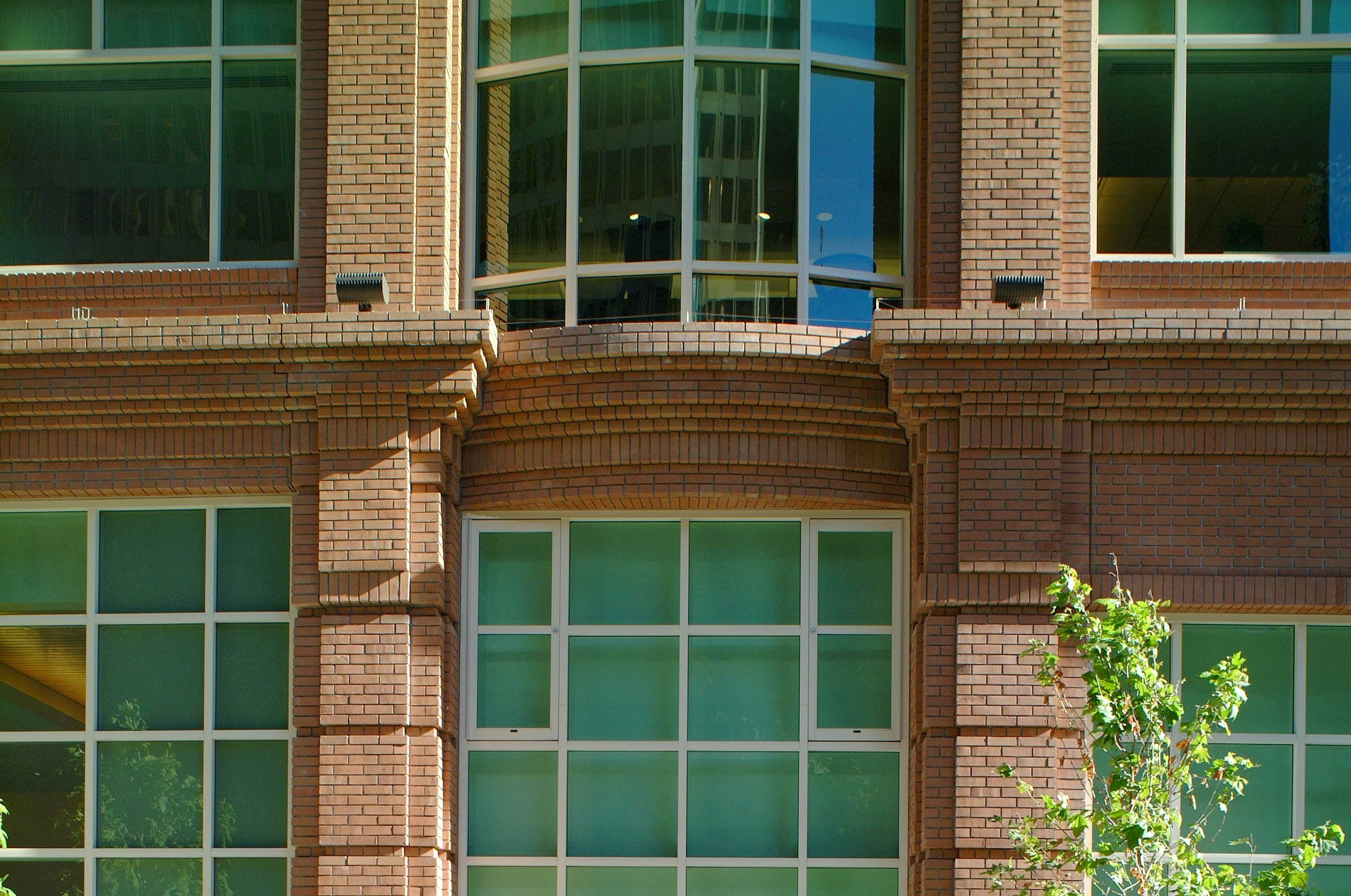 Close-up of a modern brick building with large green-tinted windows and a small tree in the foreground.