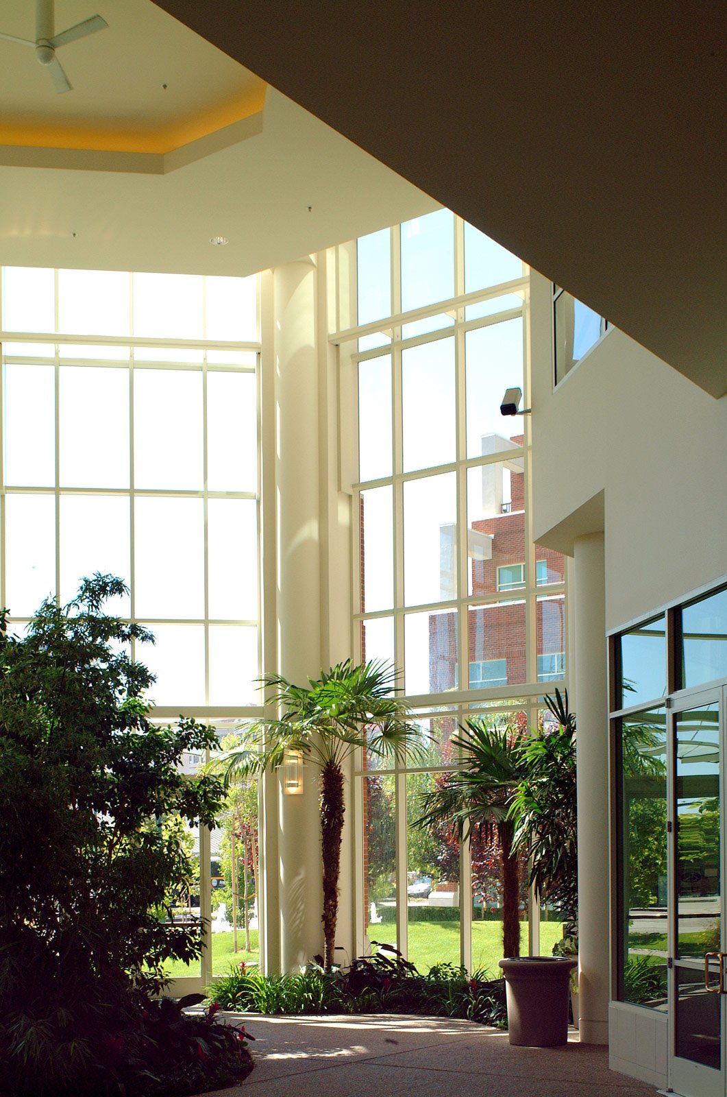 Indoor atrium with large glass windows, green plants, and daylight streaming in.