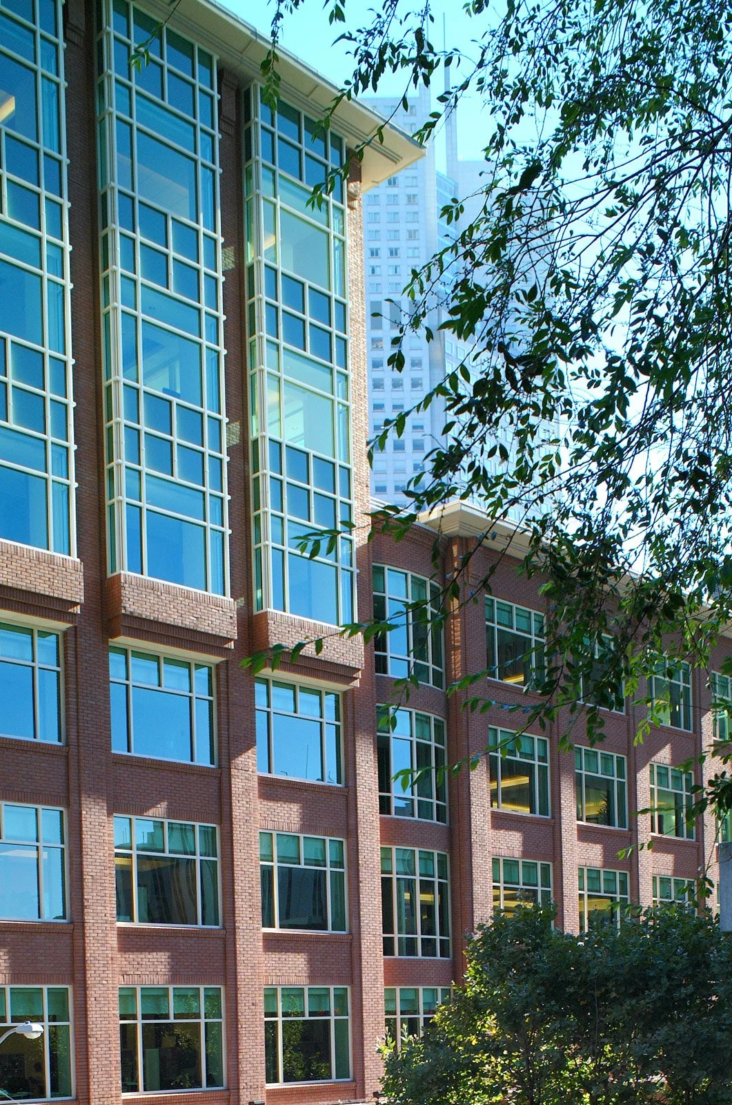 A tall modern building with large glass windows and brick exterior, with green trees in the foreground and other skyscrapers in the background.