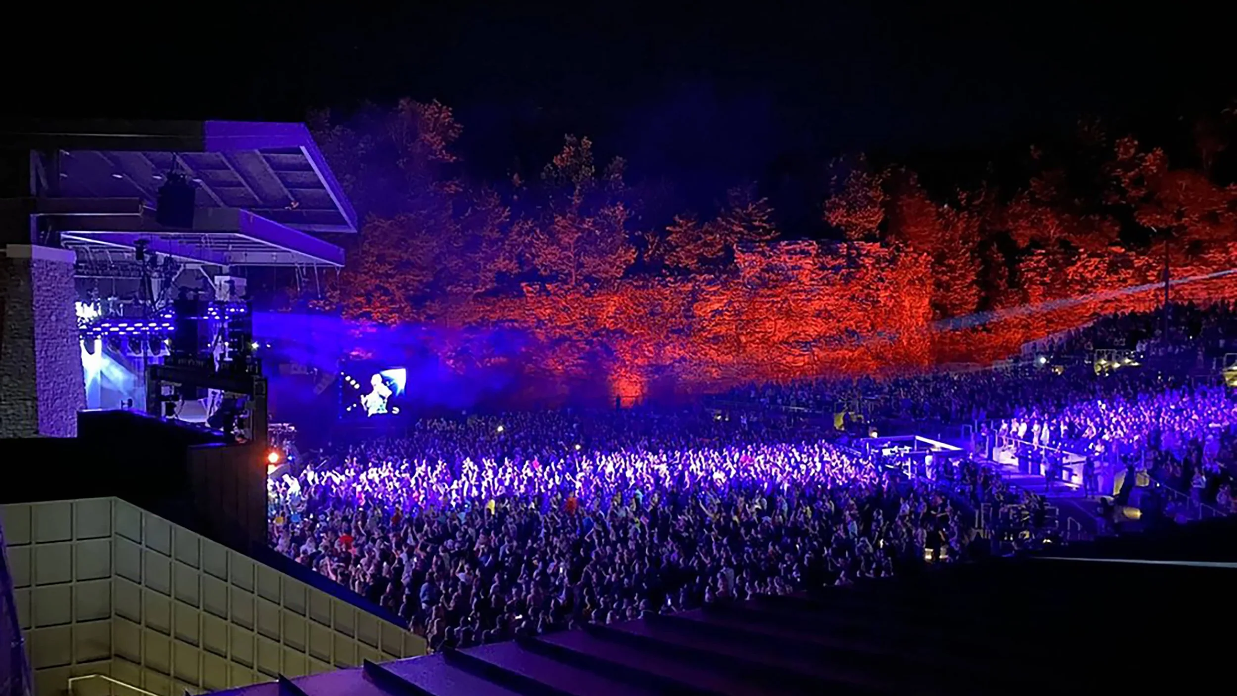 A vibrant outdoor concert at night with a large crowd, colorful stage lights, and illuminated trees in the background.