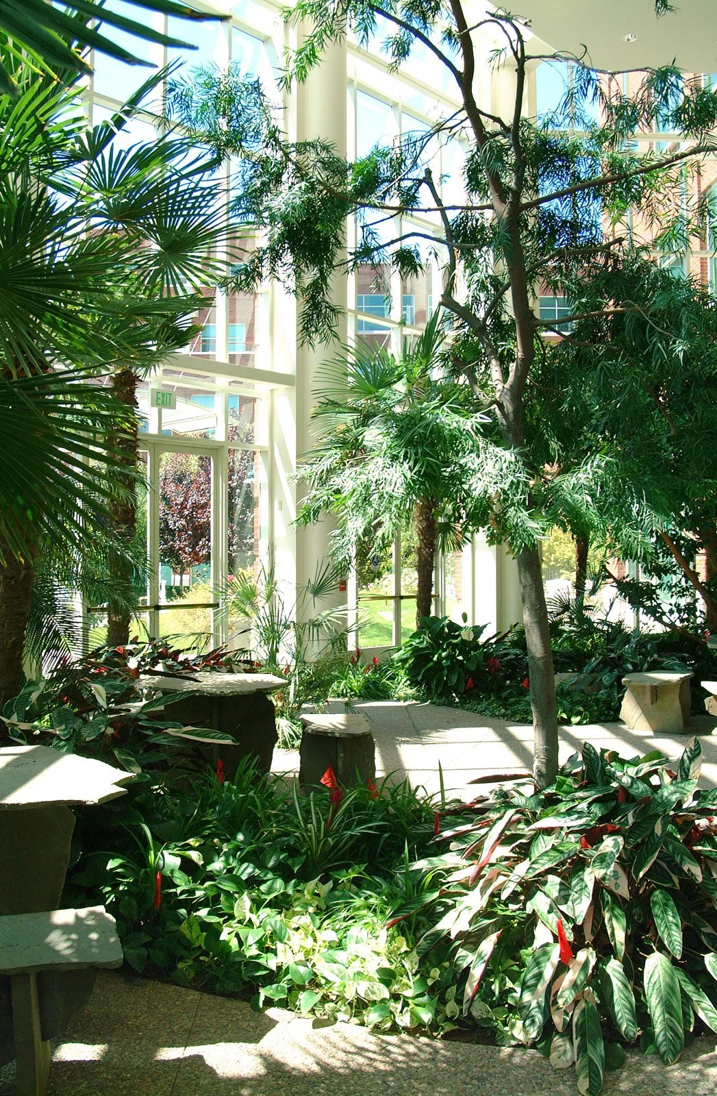 Indoor garden with various green plants and trees, sunlight streaming through large glass windows, concrete benches and walkways.