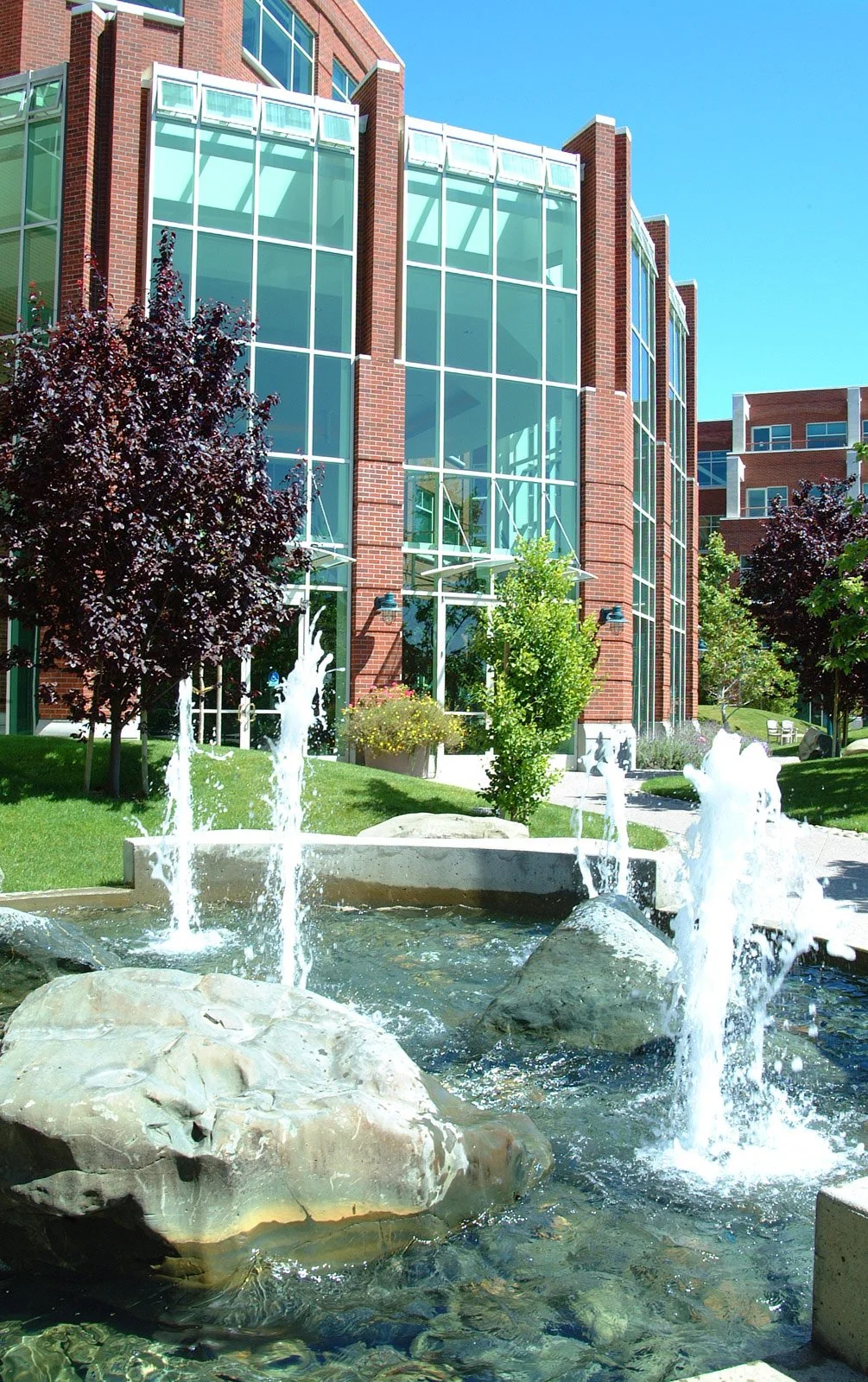 A modern brick building with large glass windows, surrounded by a landscaped area with trees, shrubs, and a water fountain with rocks in the foreground, under a clear blue sky.