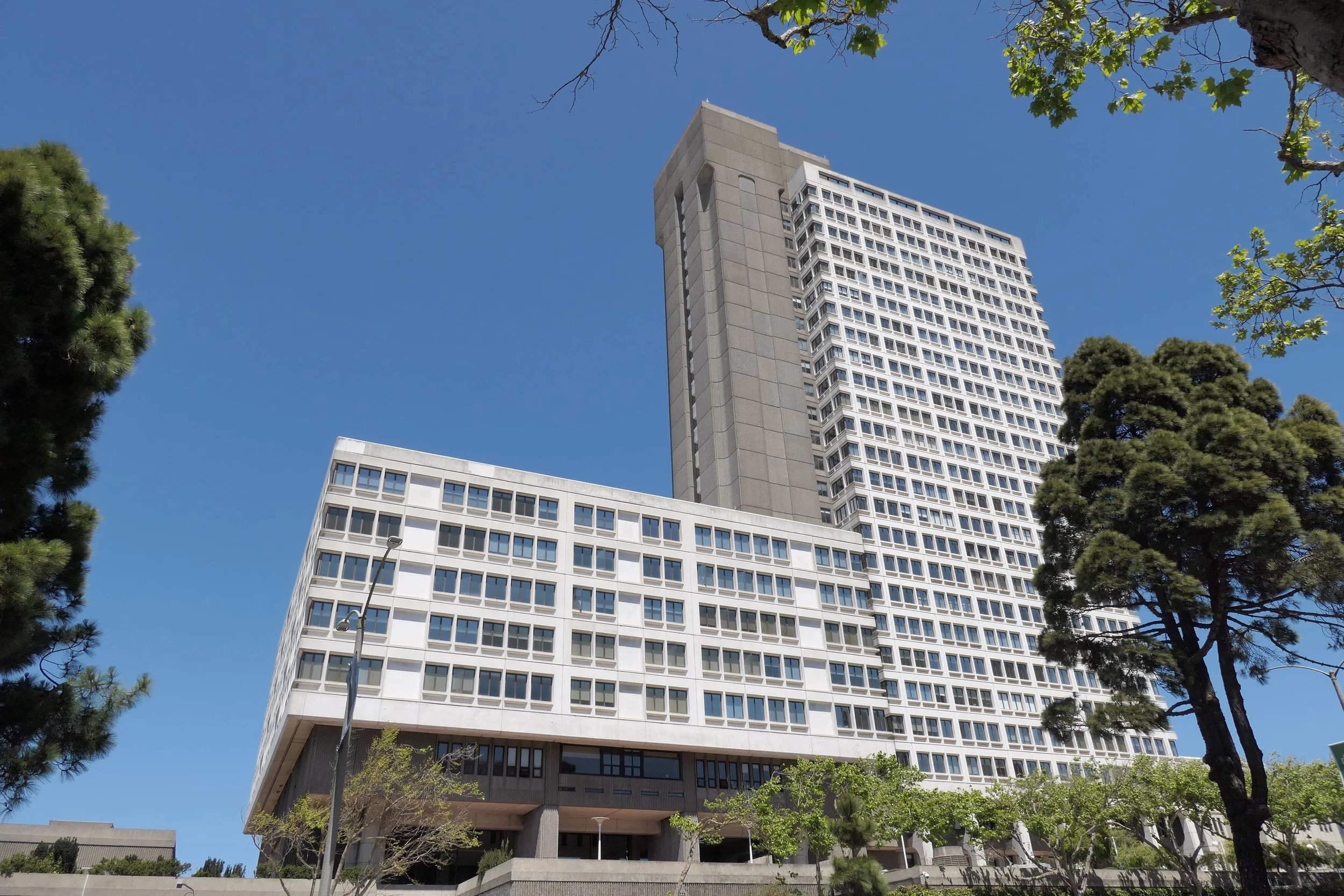 Tall modern building with multiple rows of windows, set against a clear blue sky, with trees in the foreground.