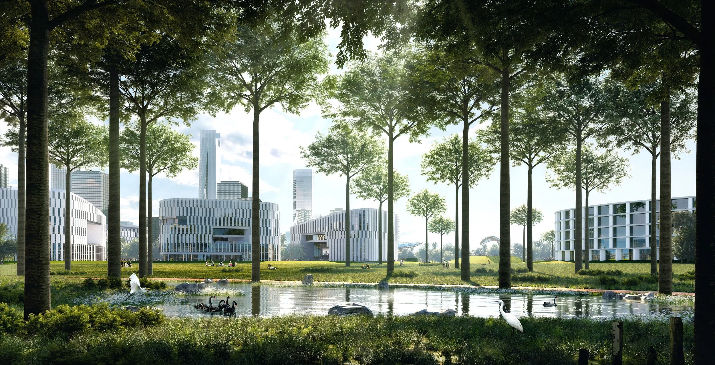 A modern cityscape park with tall trees, a pond with swans, and contemporary buildings in the background.