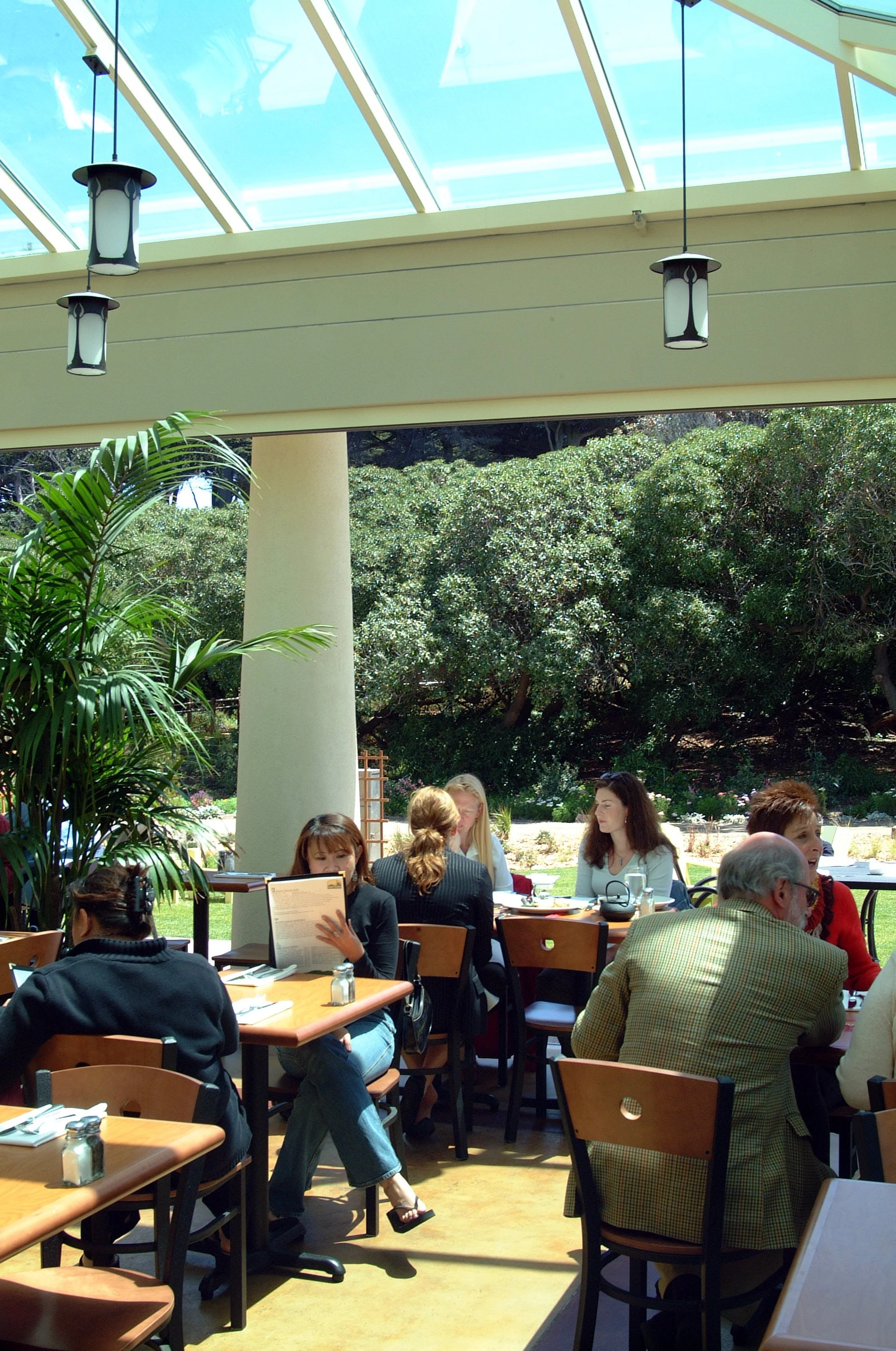 People dining at a restaurant with large windows and outdoor greenery in the background.