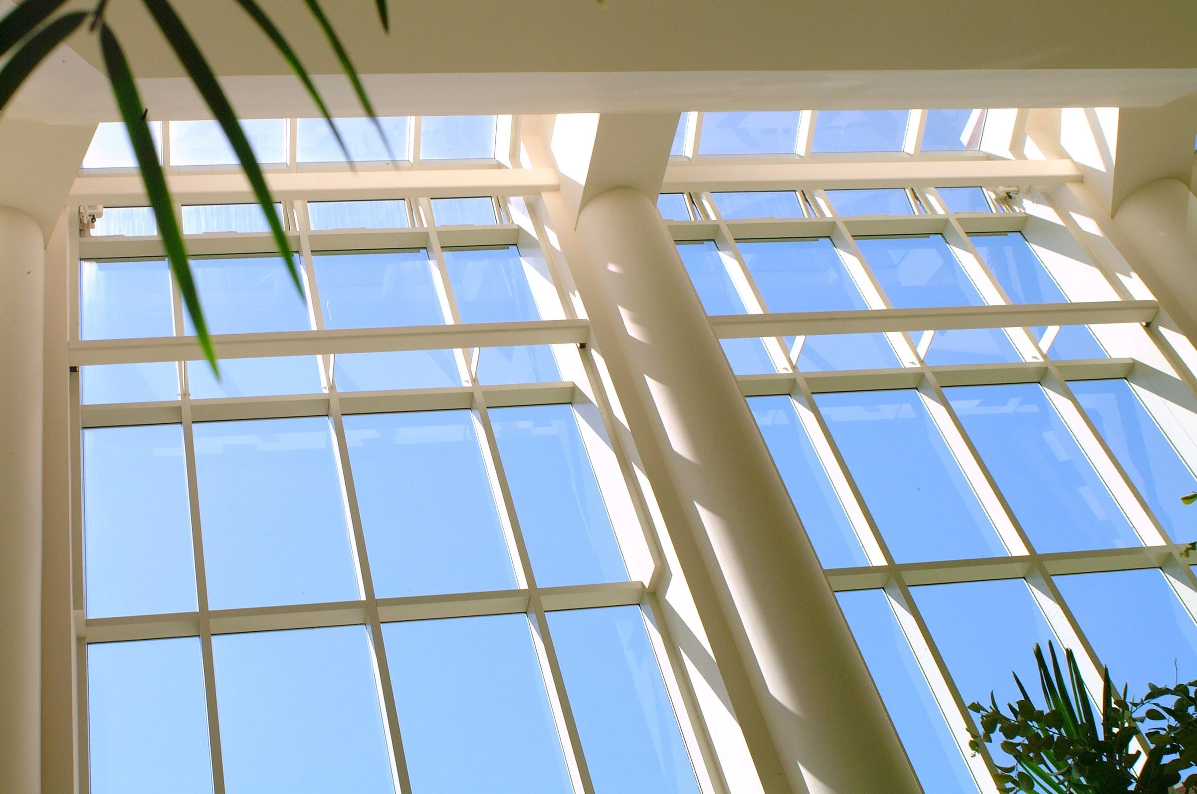 Interior view of a modern building with large grid-style windows allowing natural light, white structural columns, and some green plants visible in the corners.