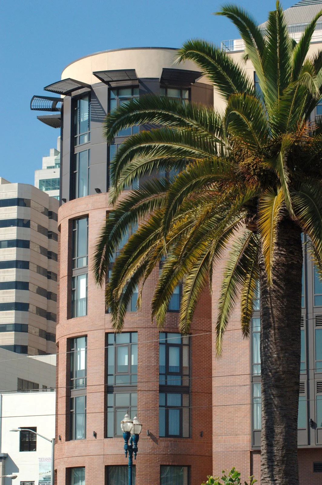 A palm tree in front of a modern multi-story building with curved architecture, large glass windows, and a parking lot, under a clear blue sky.
