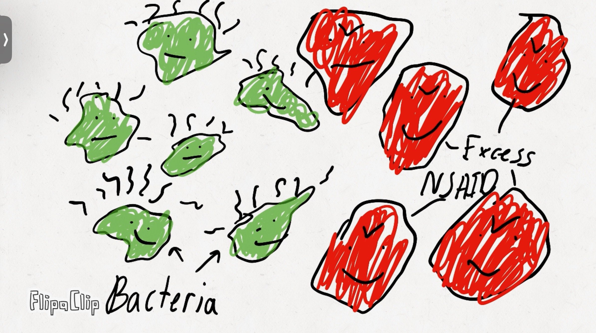 A colorful drawing illustrating bacteria, with various green shapes expressing discomfort and red shapes expressing anger or infection. The drawing includes the words 'Bacteria', 'Stress', 'NSAID', and 'Excess'.