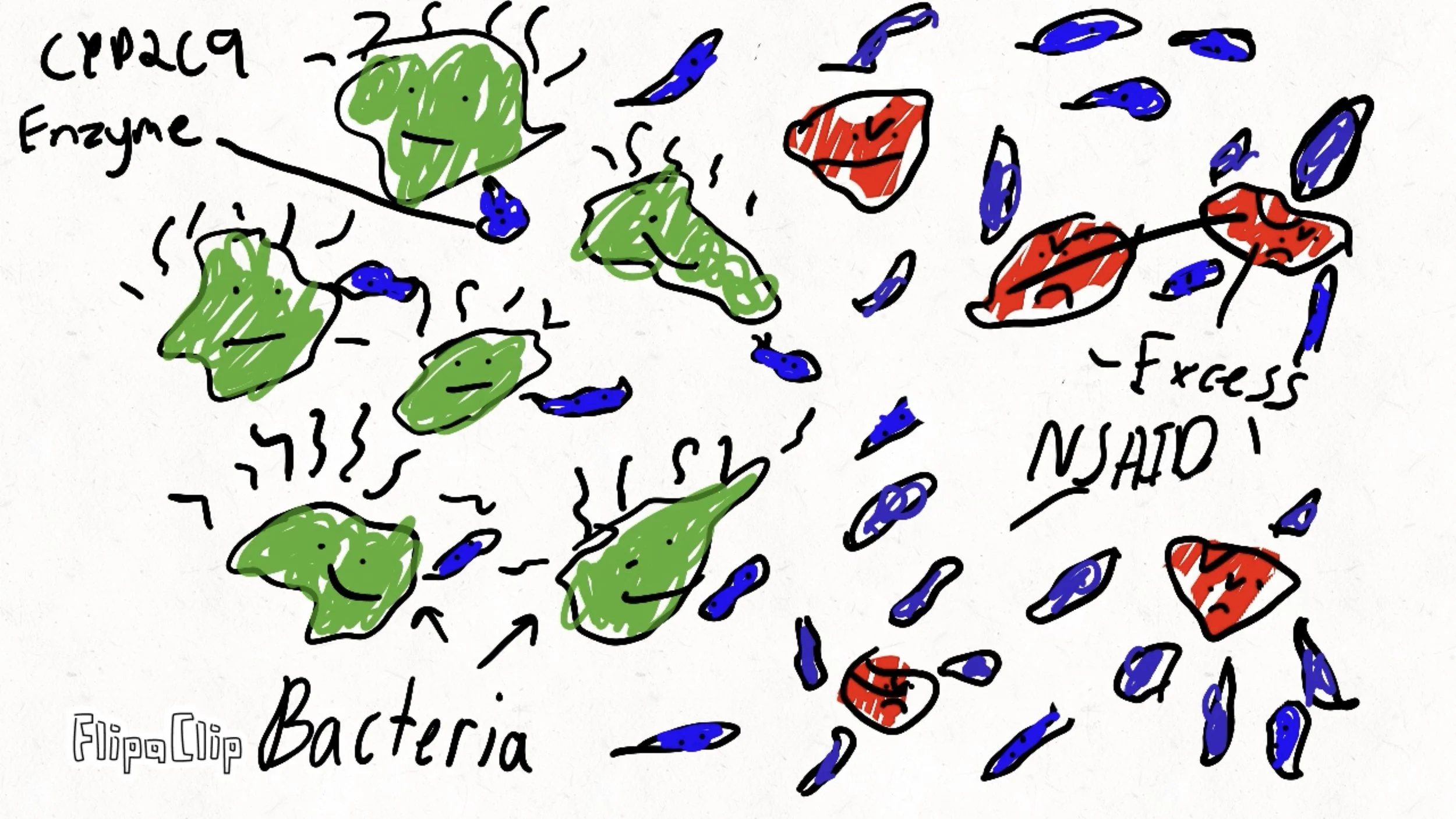 A hand-drawn diagram illustrating bacteria, enzymes, and their interaction. Green bacteria with happy faces are shown with labels in black handwriting, including 'Bacteria' and 'Enzyme'. Some red and blue shapes are labeled as 'Stress' and 'NO AHD', indicating stress effects on bacteria. Blue and red shapes are scattered around, representing various biological elements.