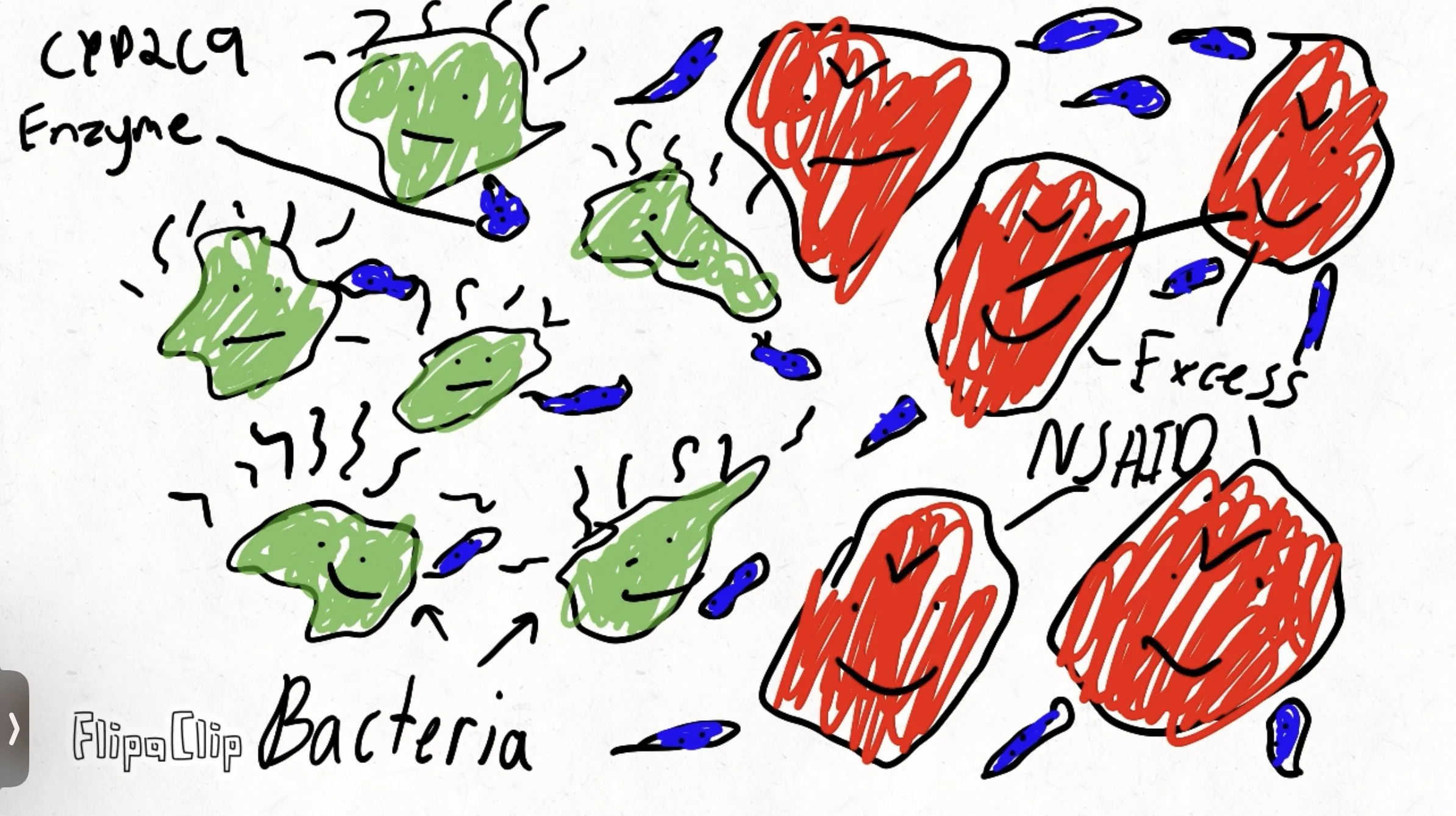 A colorful hand-drawn diagram illustrating bacteria, enzymes, and their effects. Green bacteria are labeled as 'Bacteria' with some showing signs of activity. Red bacteria are labeled with 'Stress NISOHD' and 'Enzyme,' smiling. Small blue shapes represent small molecules or particles. The diagram suggests bacteria and enzymes interacting, with stress and enzyme effects highlighted.