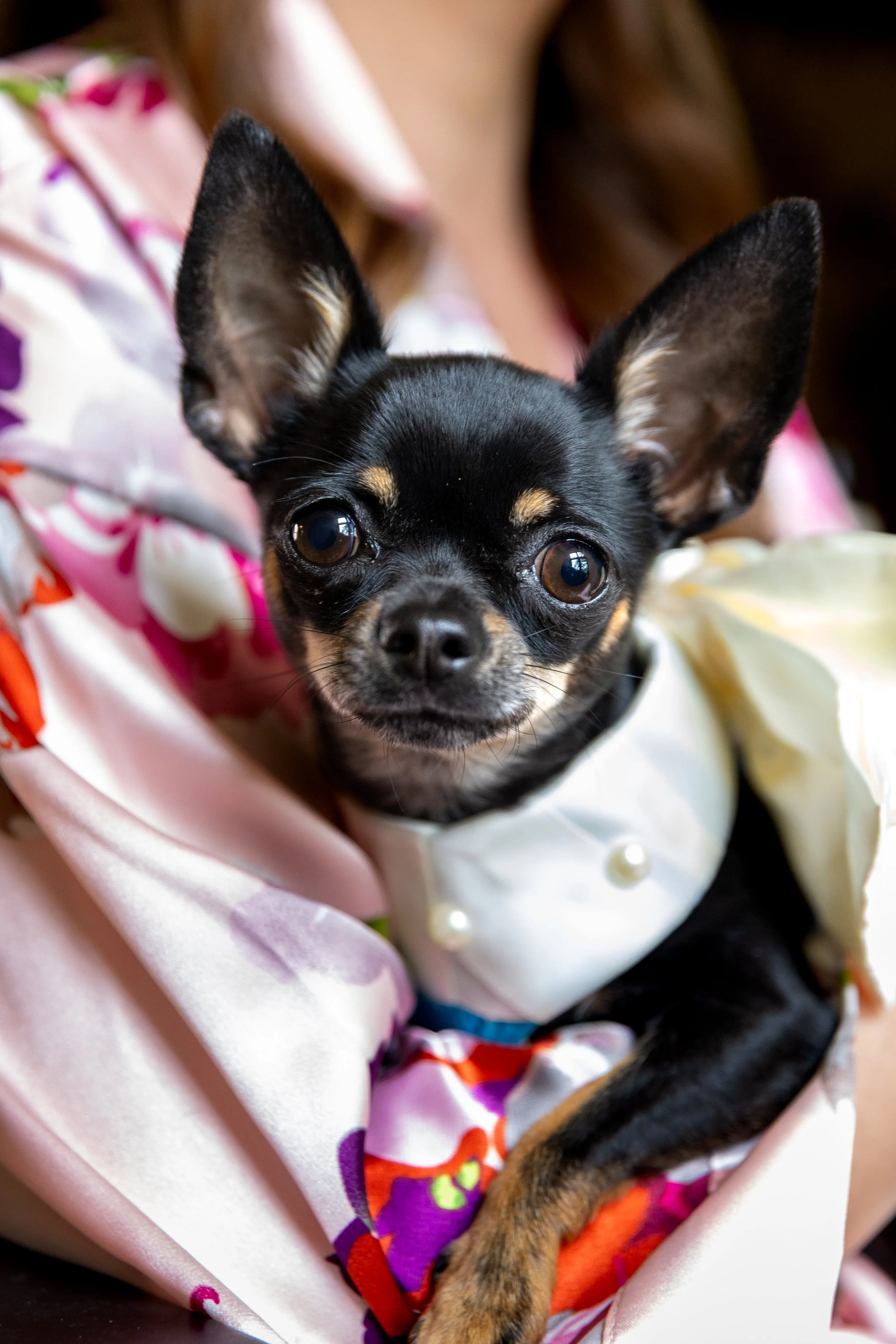 Amy & Siamak -032.jpg