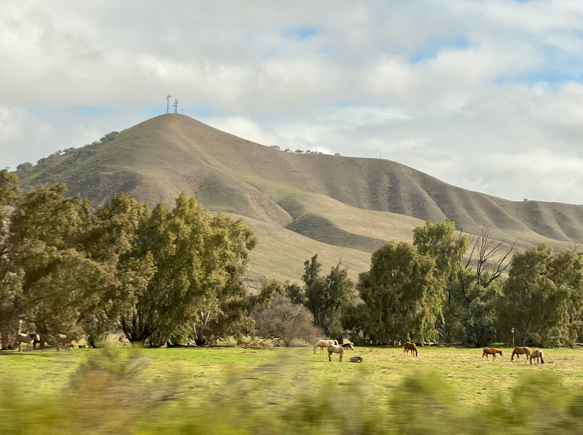 Screenshot-2025-09-14-123620 (1).png