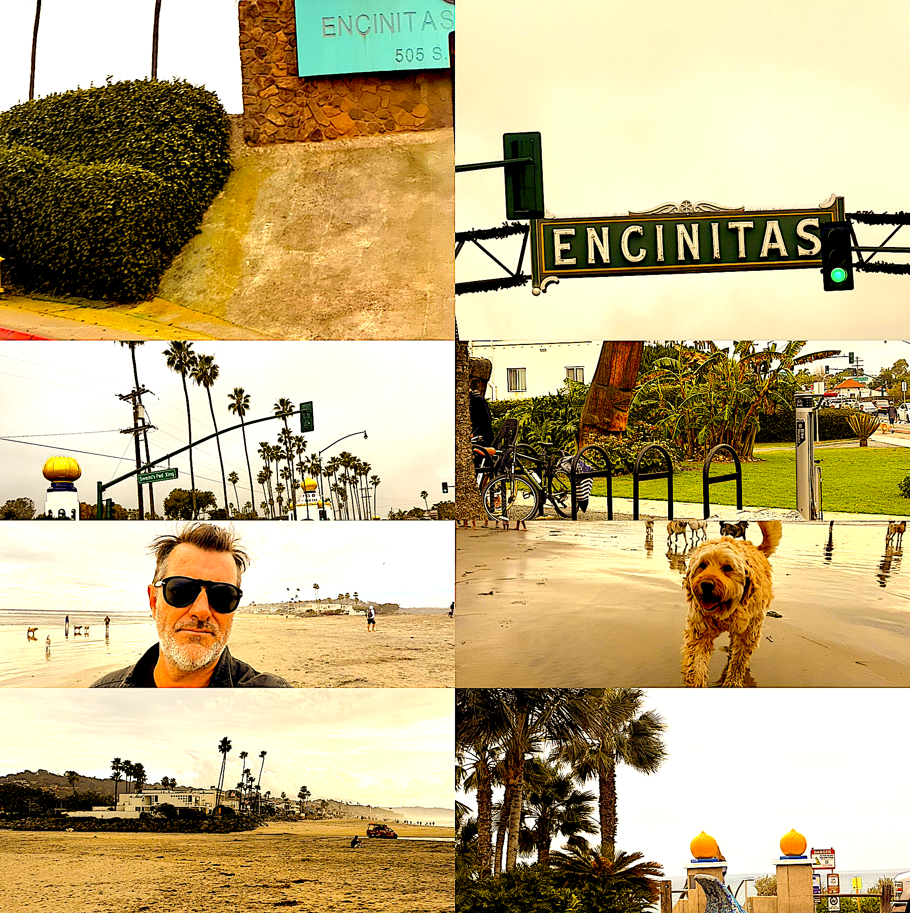 Collage of photos from Encinitas, California, including street signs, palm trees, beach scenes, a man with sunglasses, and dogs on the beach.