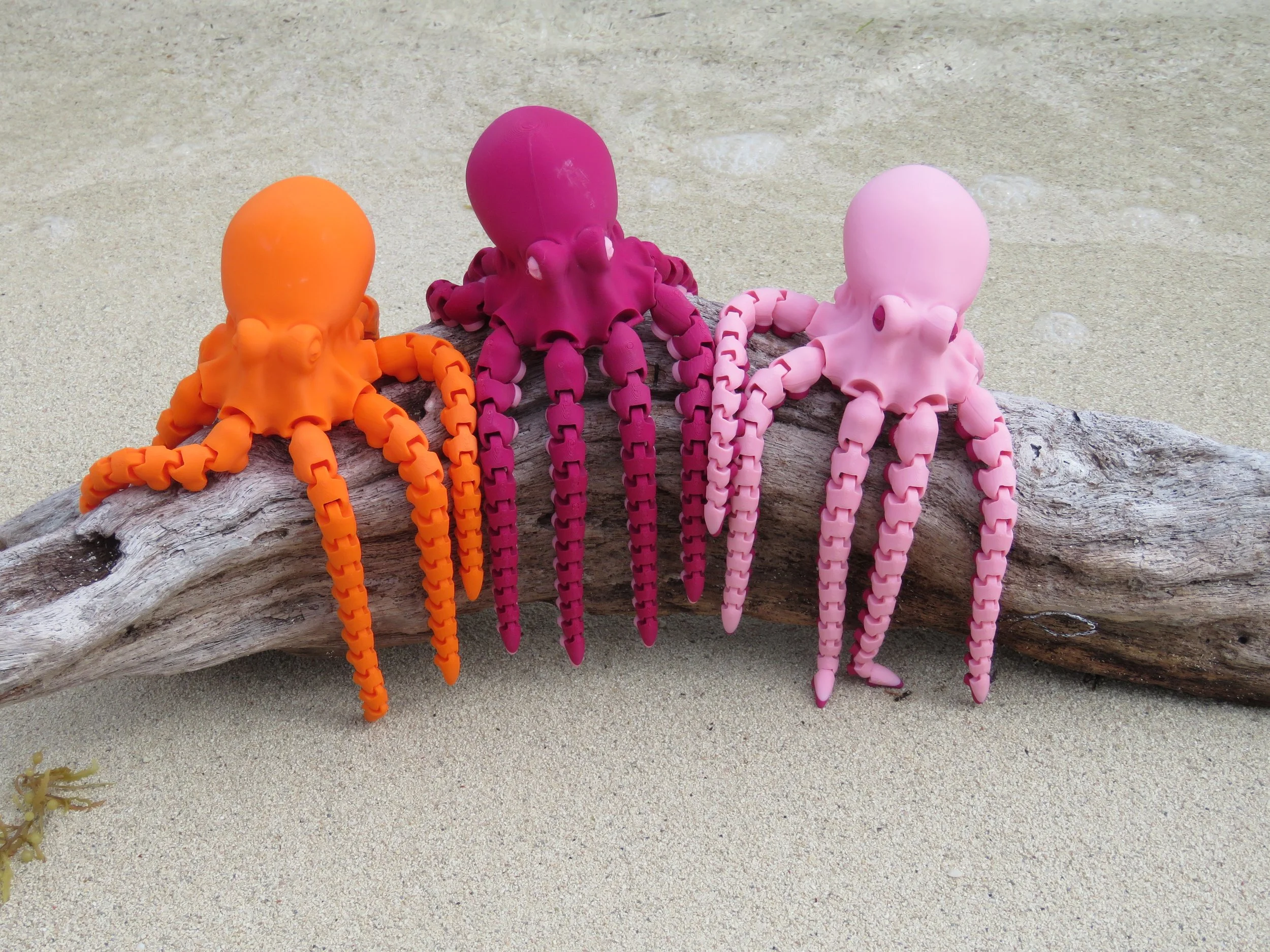 Cinderwing Flexi Octopus.JPG