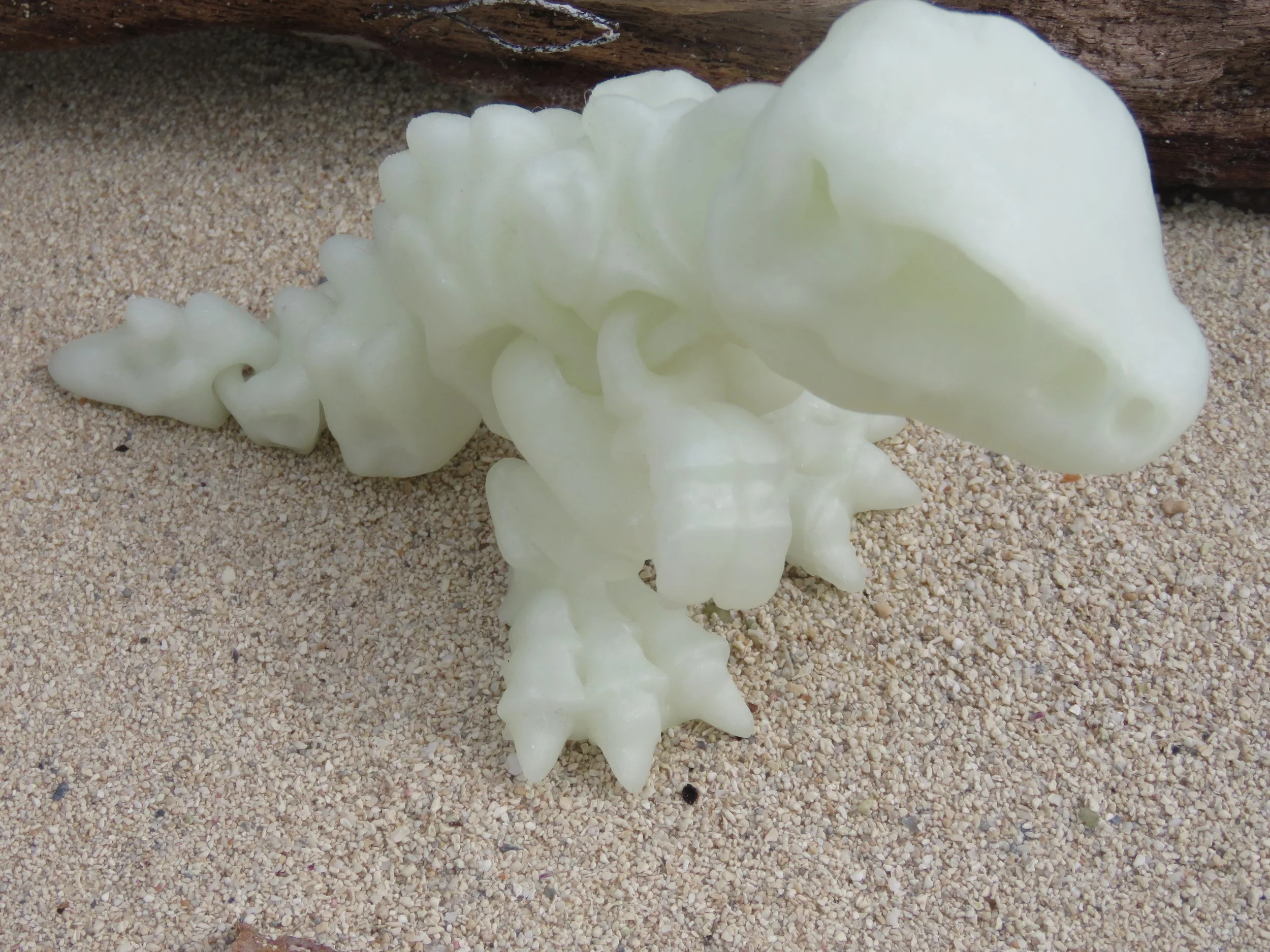 Cinderwing Baby TRex.JPG