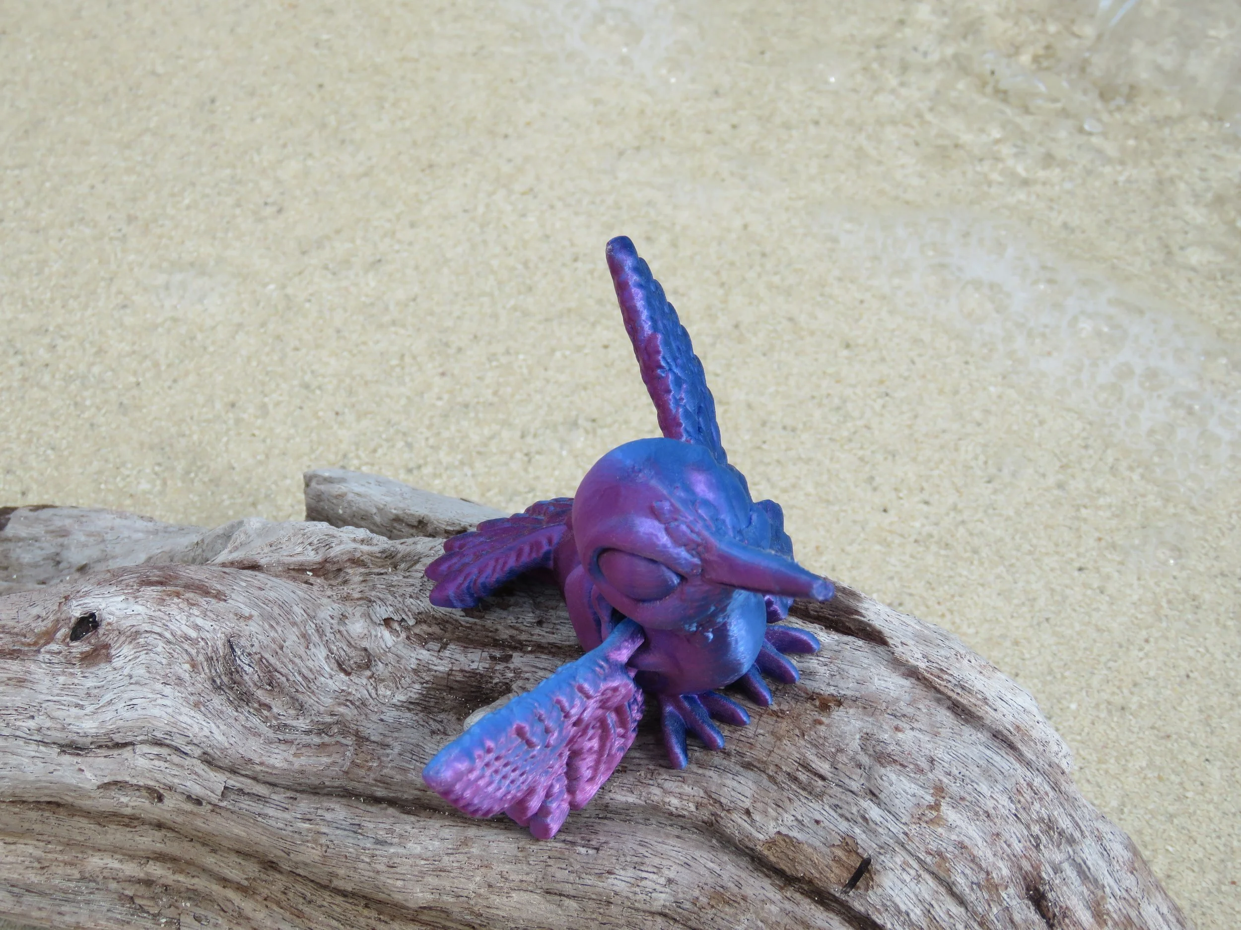 Cinderwing Humming Bird.JPG