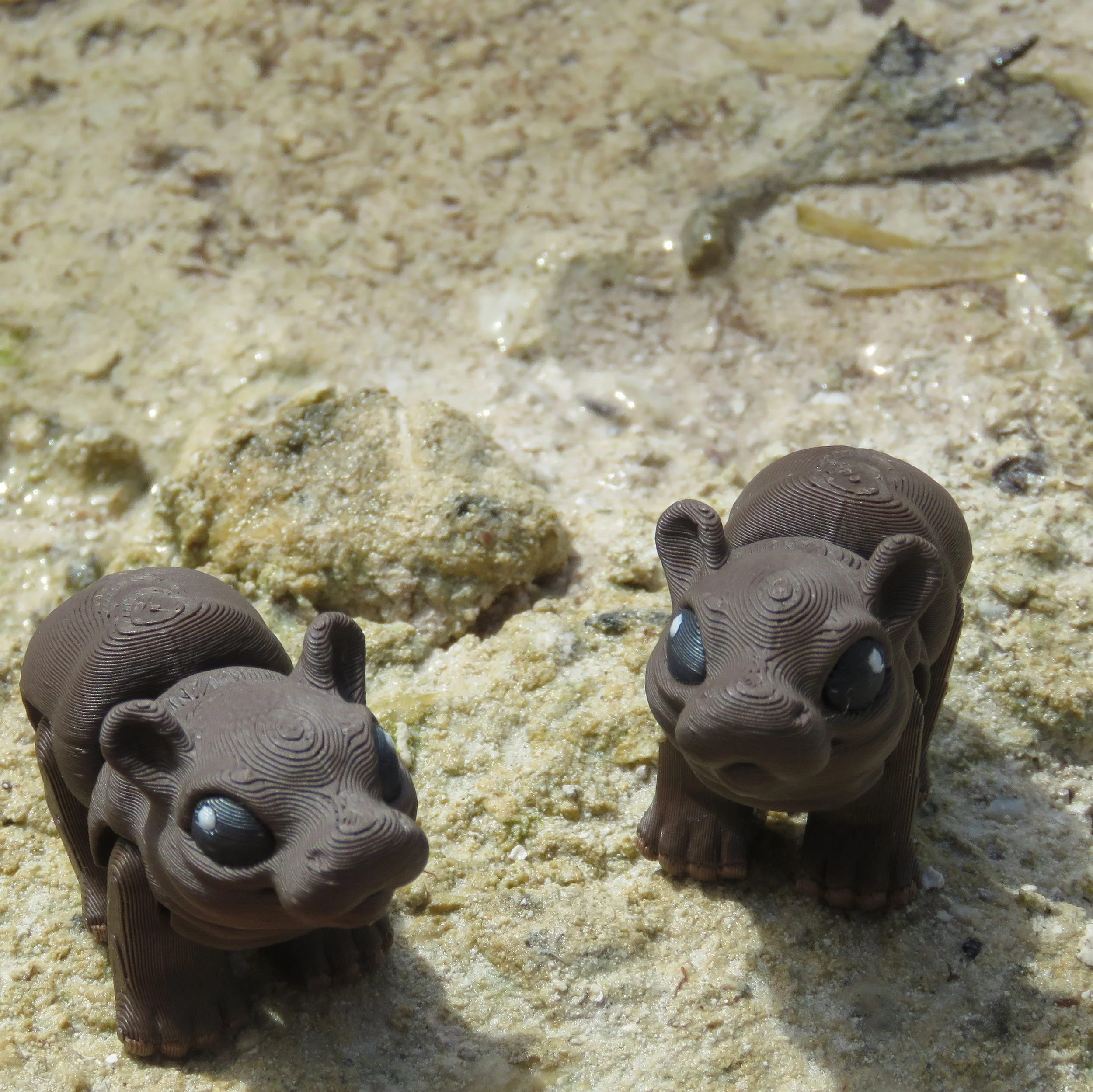 Cinderwing hippos.JPG