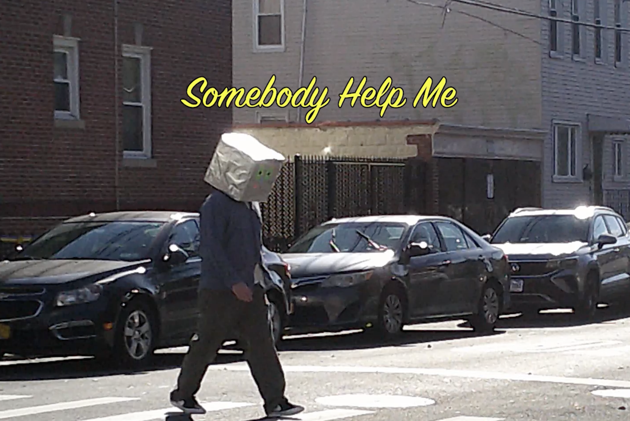 Box Project: Somebody Help Me