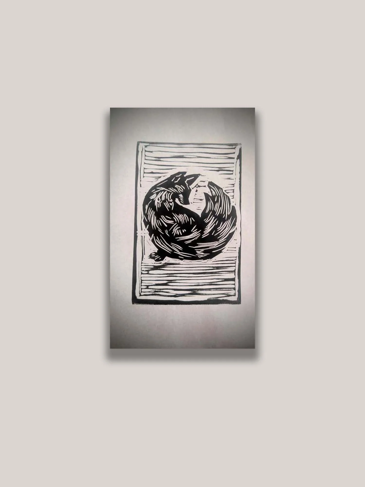 Minimalist linocut print depicting a sleeping kit fox curled into a circular form. Nature-inspired printmaking artwork exploring rest, protection, and the elegance of wildlife.
