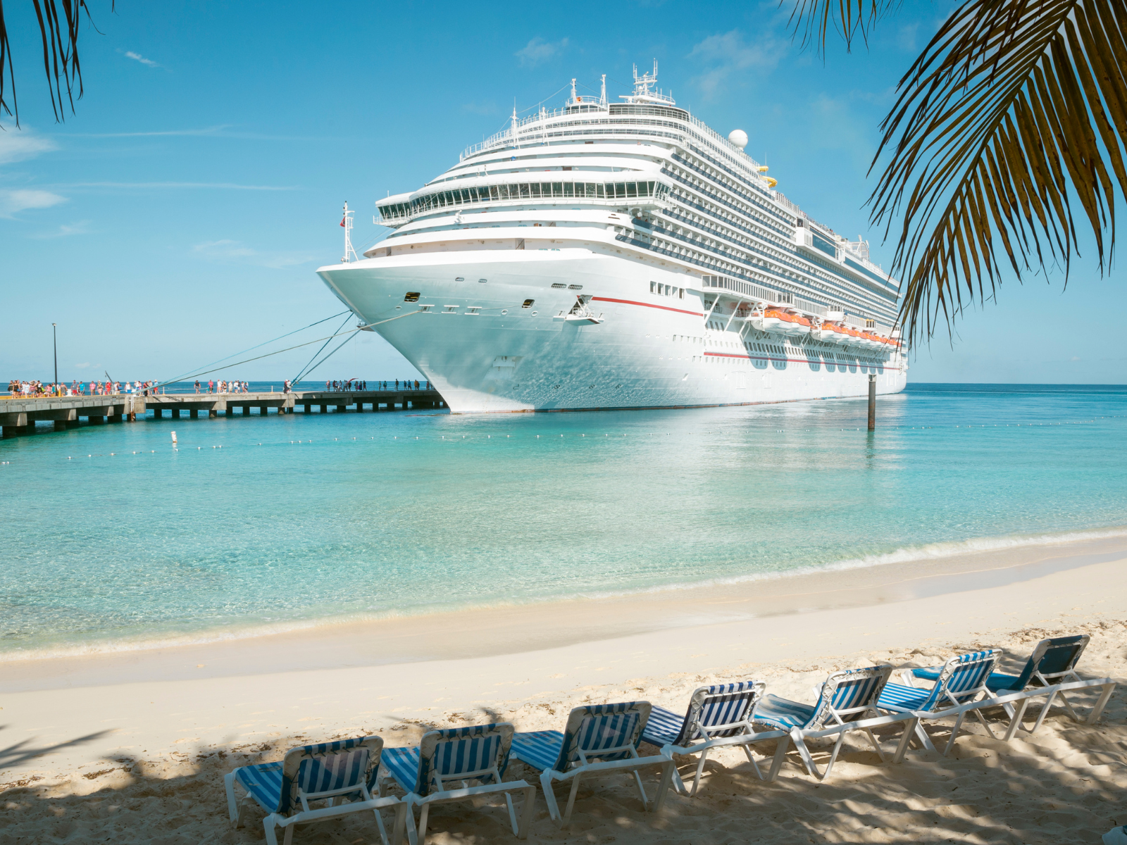 Large white cruise ship docked at a tropical beach with chairs on the sand and palm tree branches in the foreground.