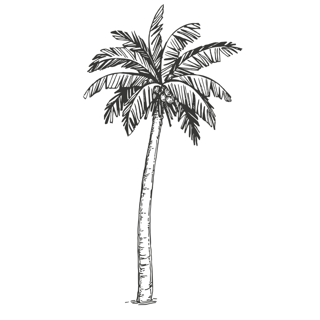 A black-and-white illustration of a tall palm tree with a curved trunk and long, arching fronds.