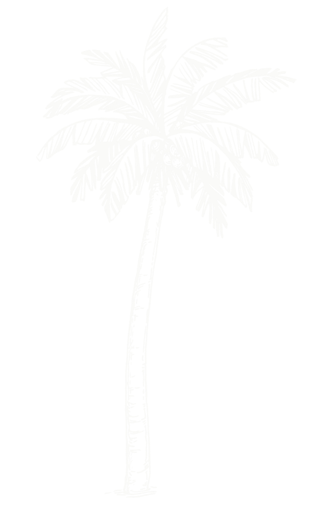 A white silhouette of a palm tree with a tall, curved trunk and large, leafy fronds against a black background.