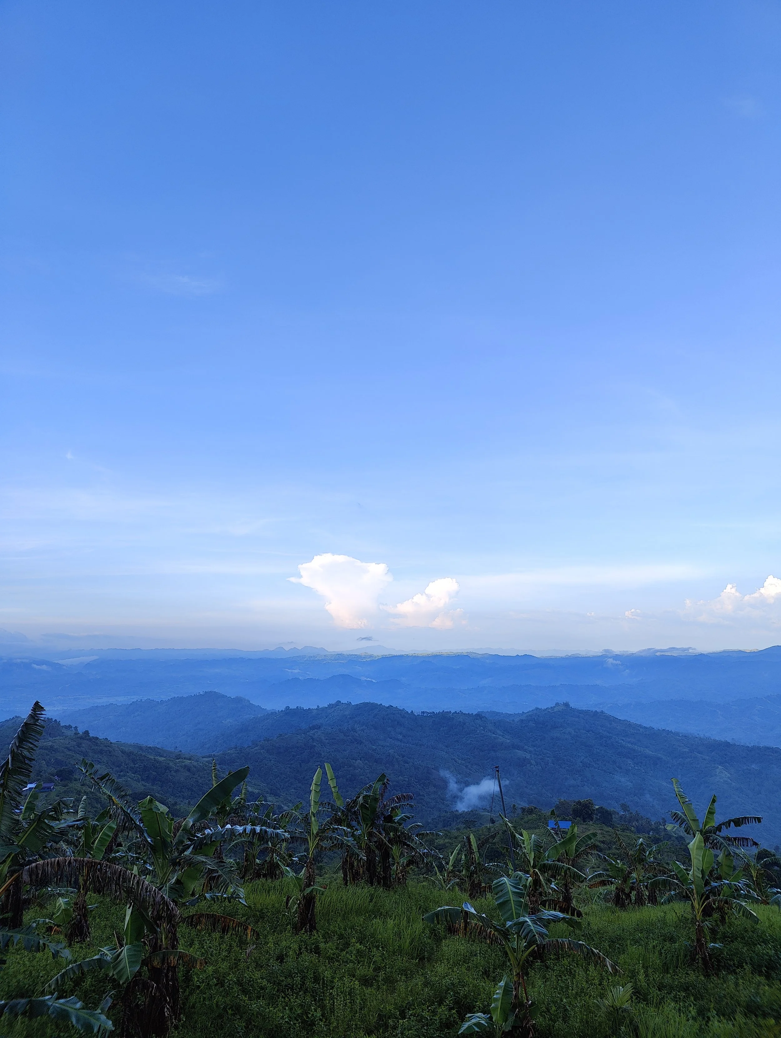 Din drilske hjerne: om at blive fanget af overbevisninger, selvfortællinger, erindringer og tanker