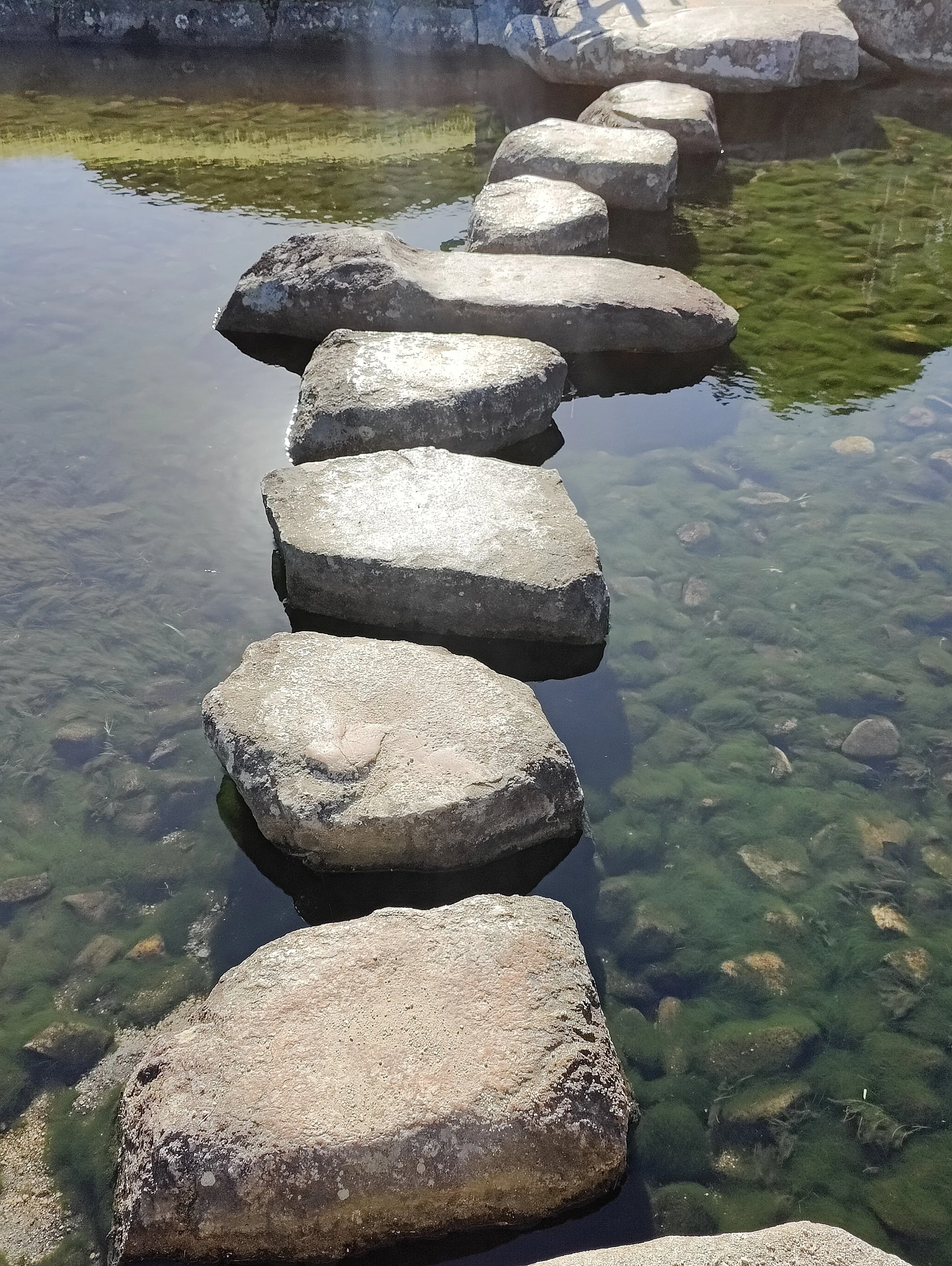 Sindets historier og historien om at være doven