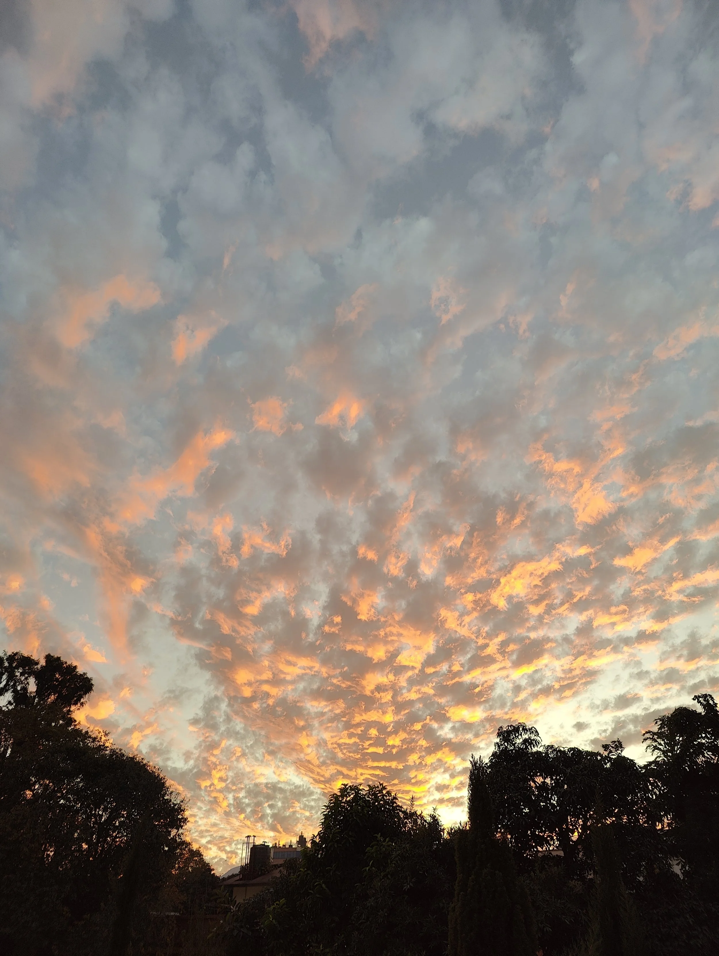 Fokus på handlemuligheder frem for vilkår