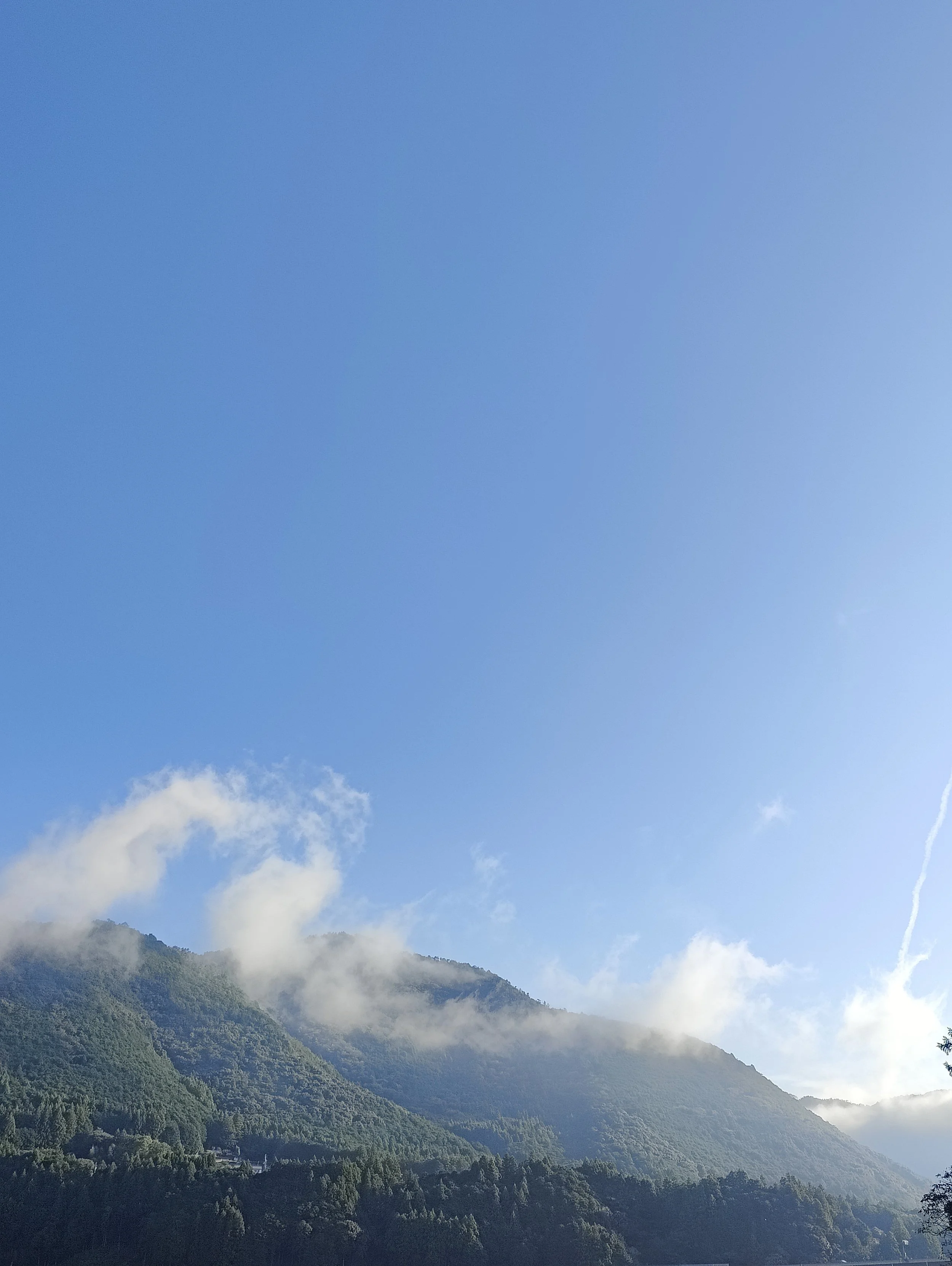 Om sorg. For dig, der er pårørende