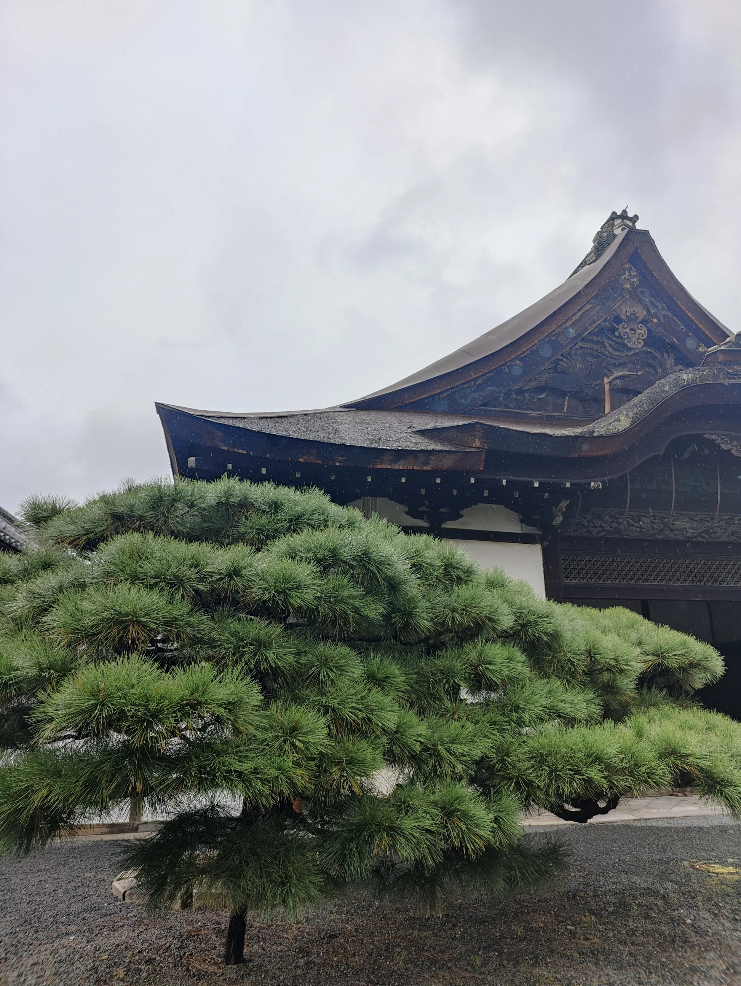 Kunsten at hvile sig - din vej til bedre hvile